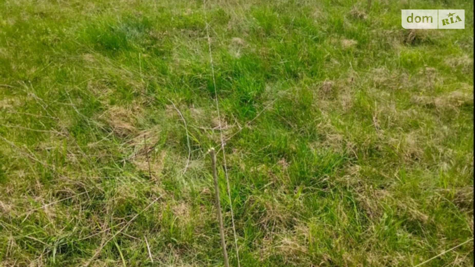 Продается земельный участок 0.1195 соток в Житомирской области, цена: 11000 $ - фото 3