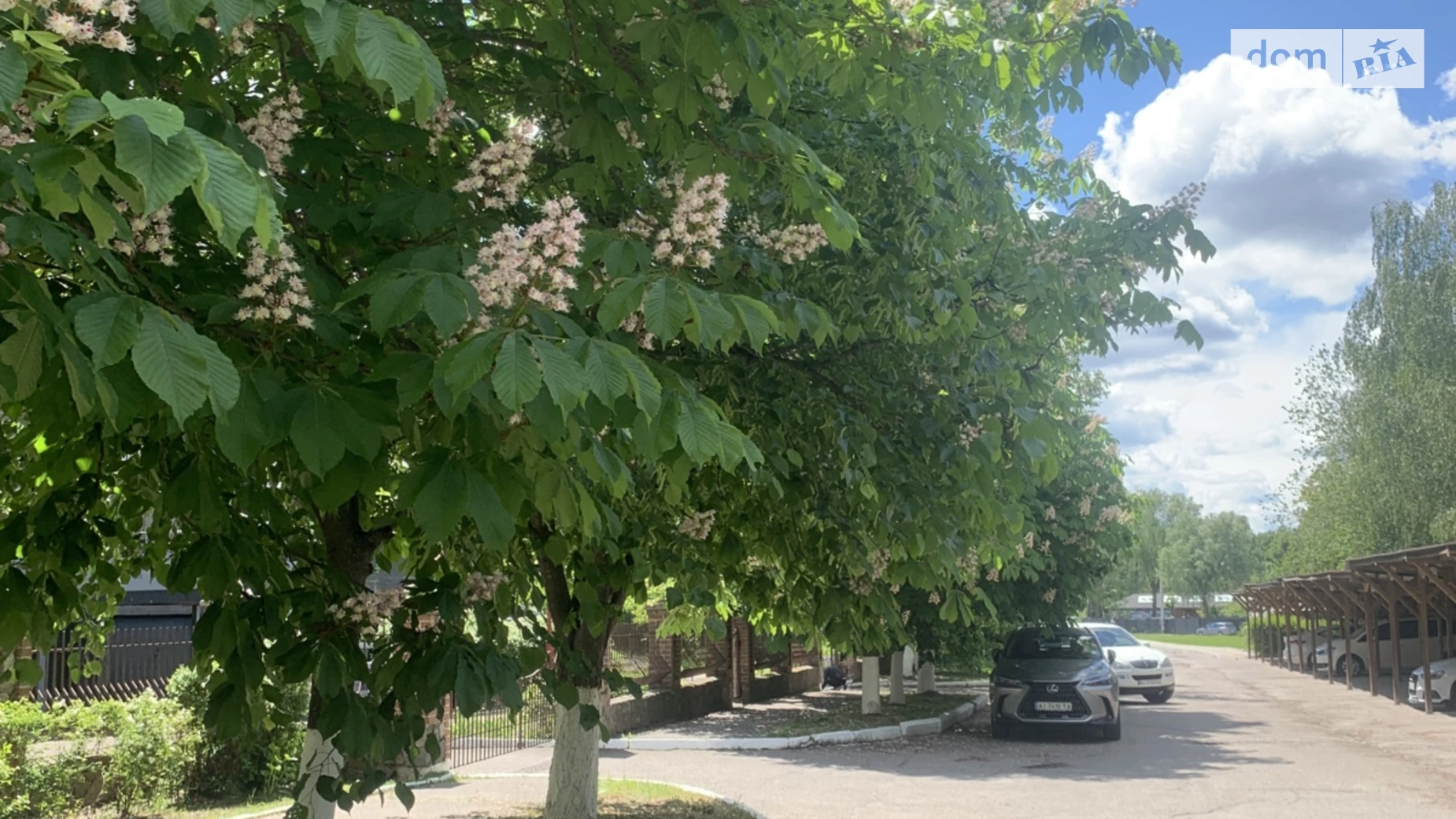 Продается 3-комнатная квартира 181 кв. м в Белой Церкви, ул. Партизанская, 35 - фото 5