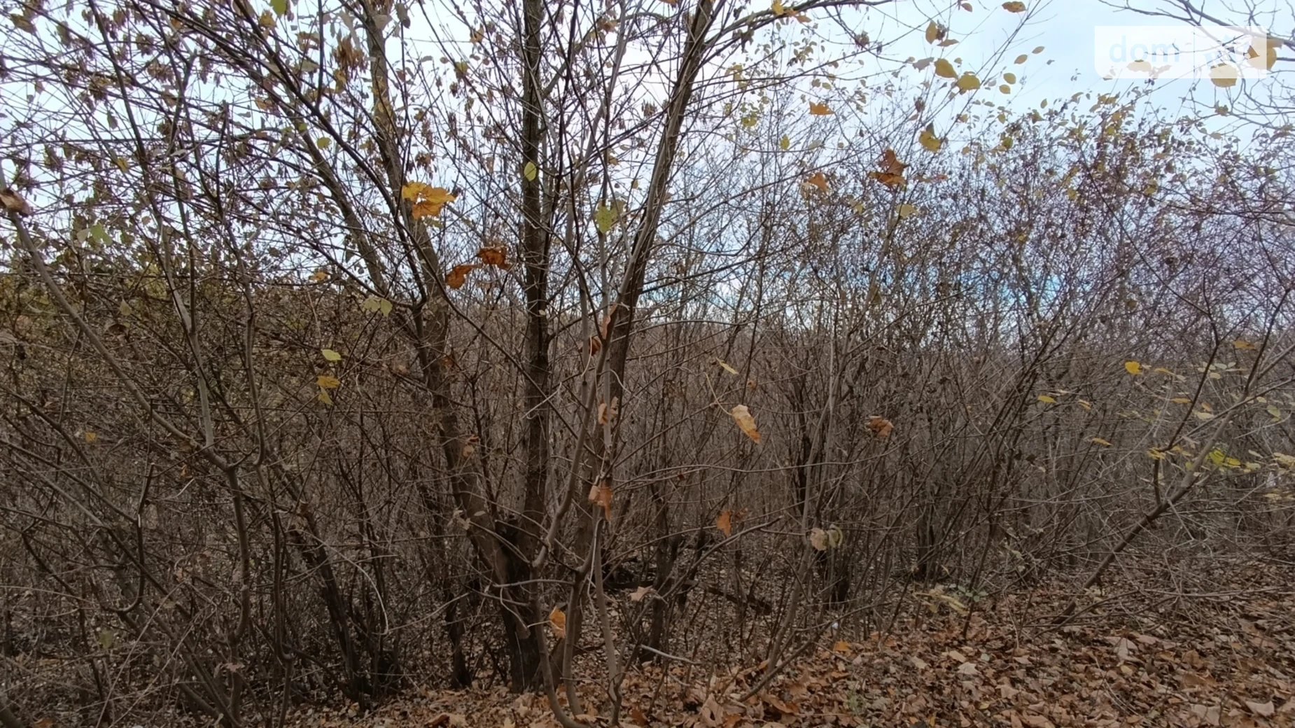Продається земельна ділянка 10 соток у Хмельницькій області, цена: 16000 $ - фото 4