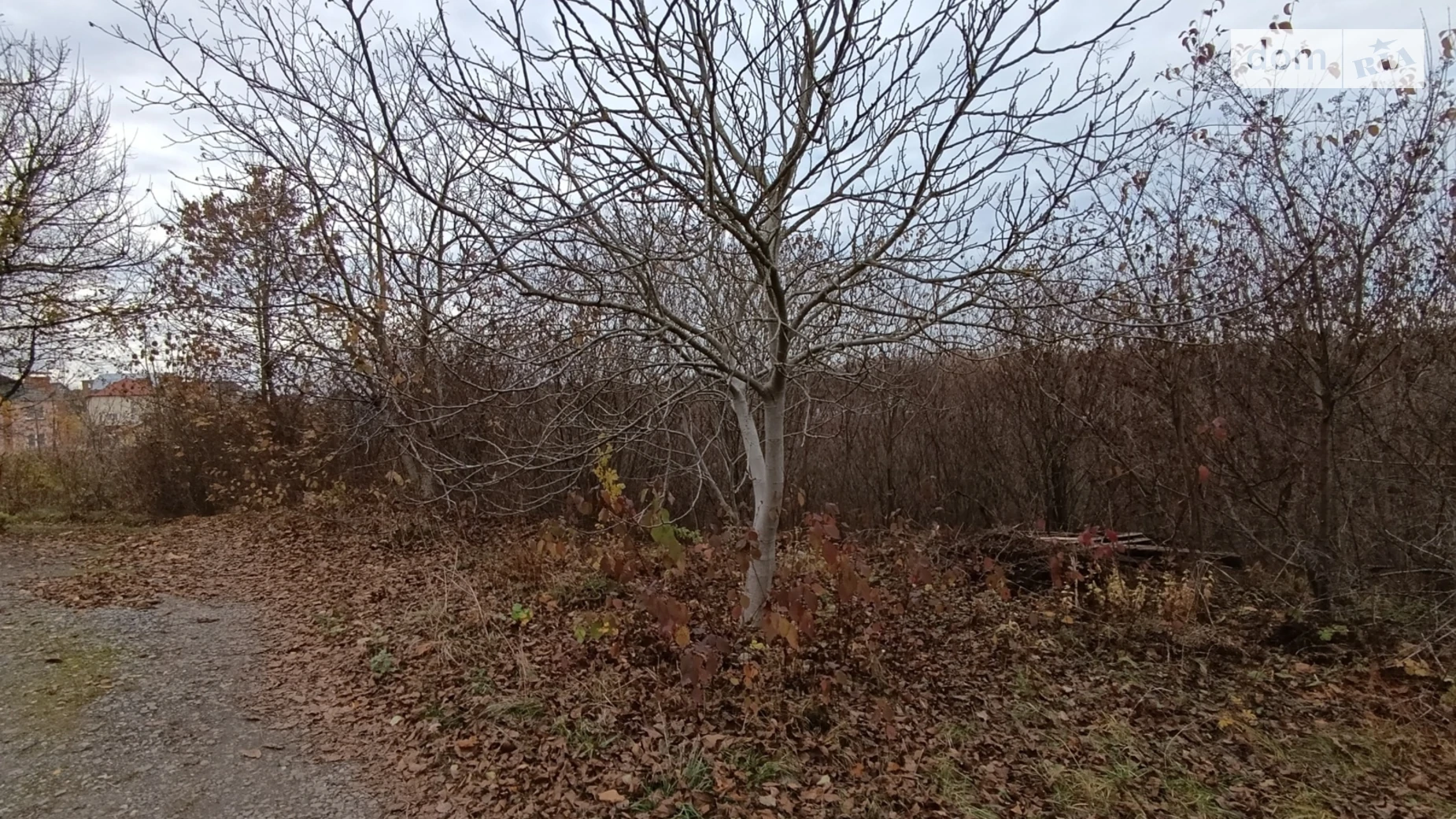 Продається земельна ділянка 10 соток у Хмельницькій області, цена: 16000 $ - фото 5