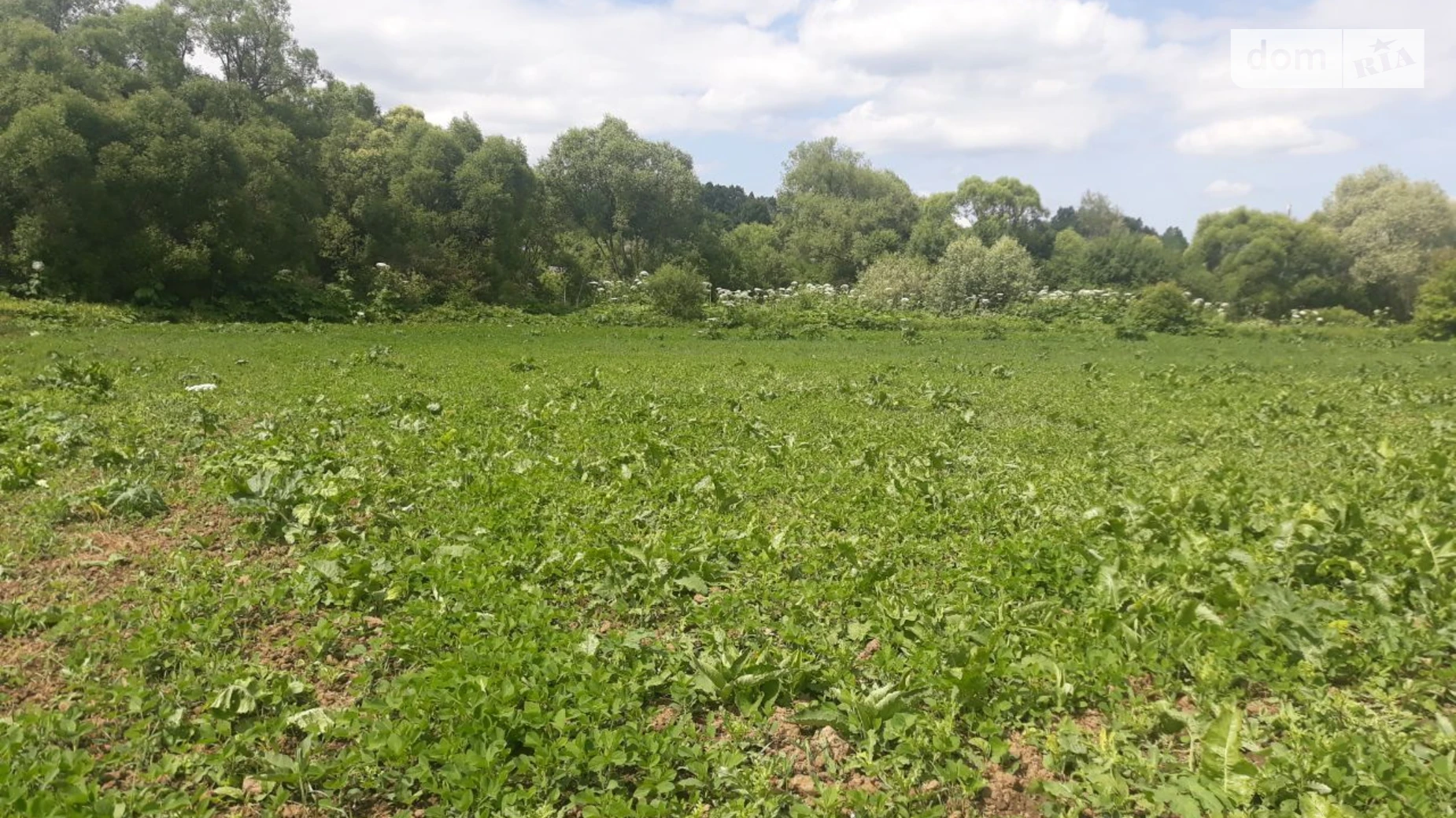 Старые Богородчаны, цена: 1158 грн - фото 2