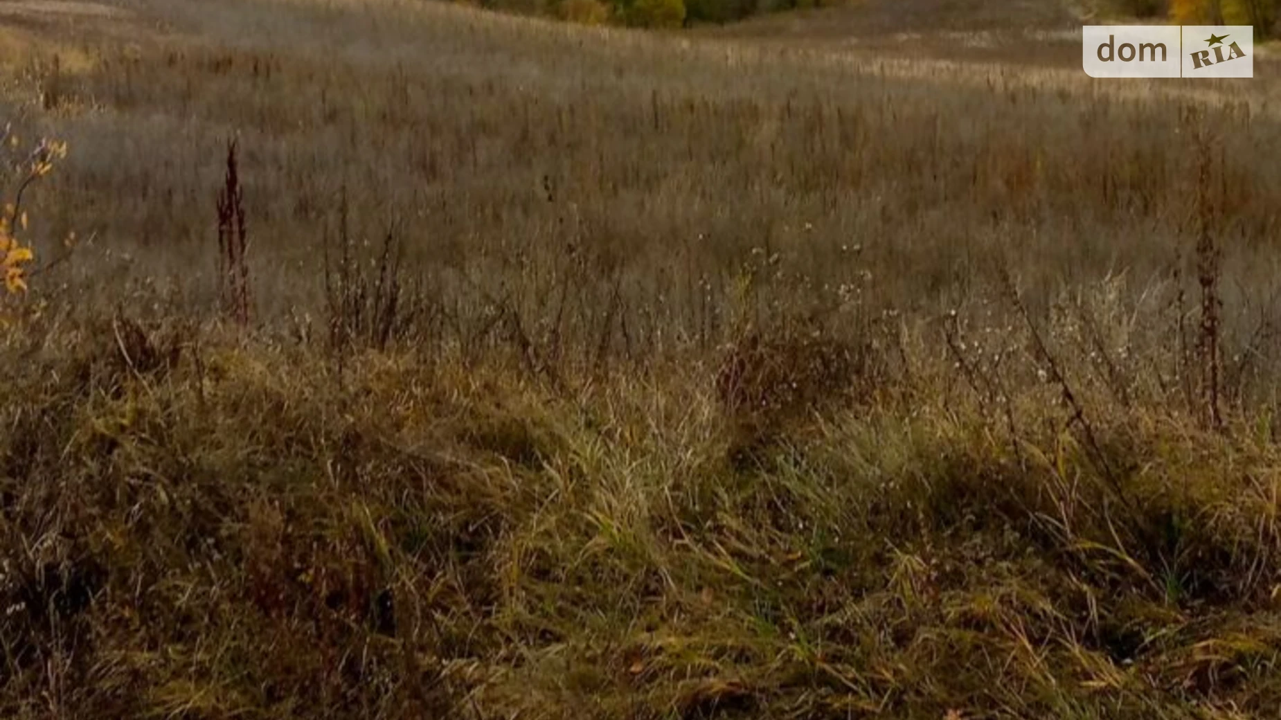 Лубенцы, цена: 10457 грн - фото 2