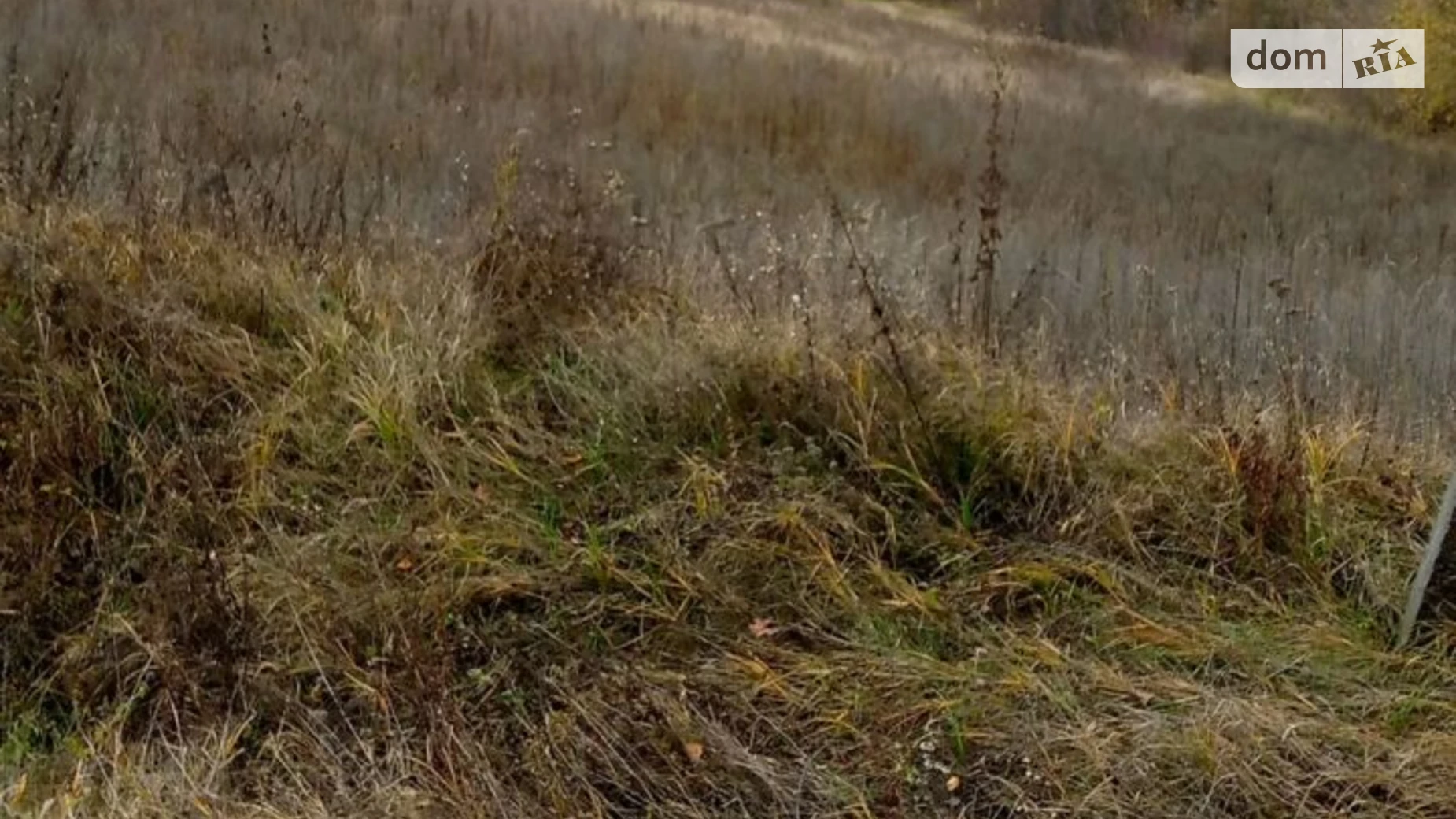 Лубенцы, цена: 10457 грн - фото 3