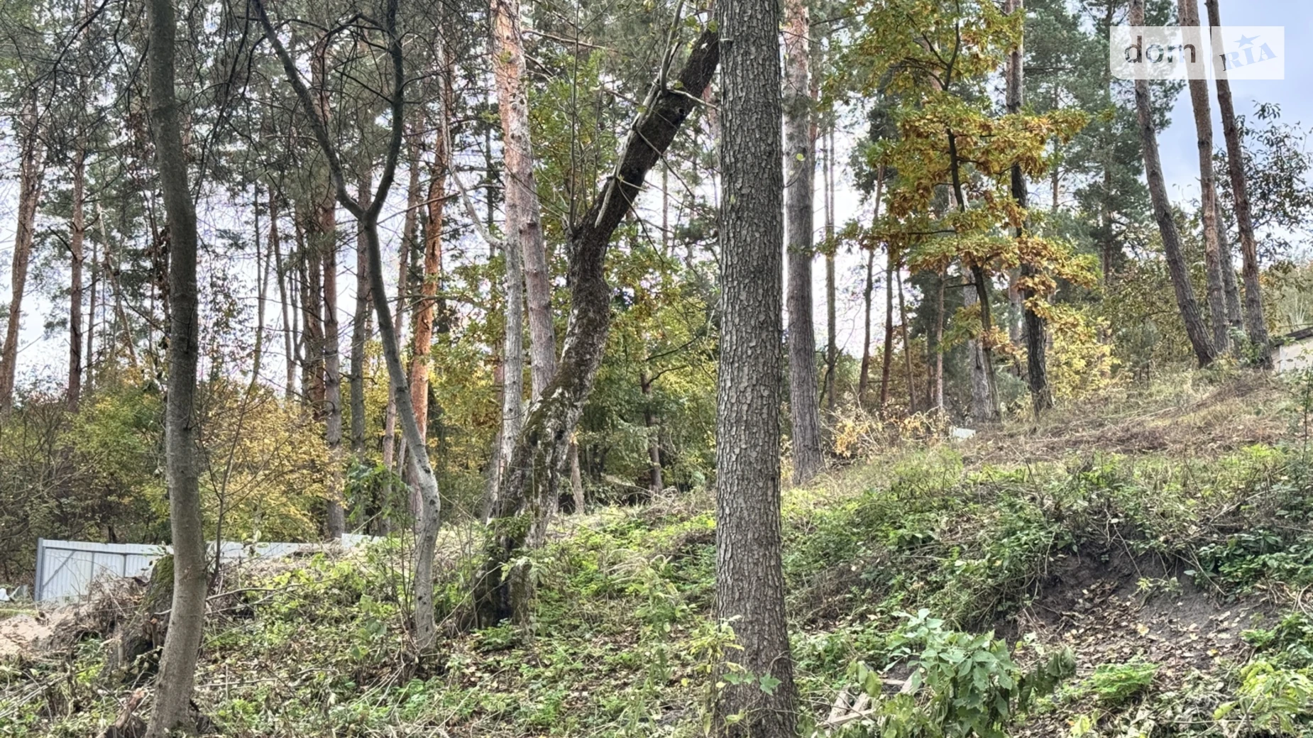 вул. Центральна Ходосівка (Обухів), цена: 60000 $ - фото 2