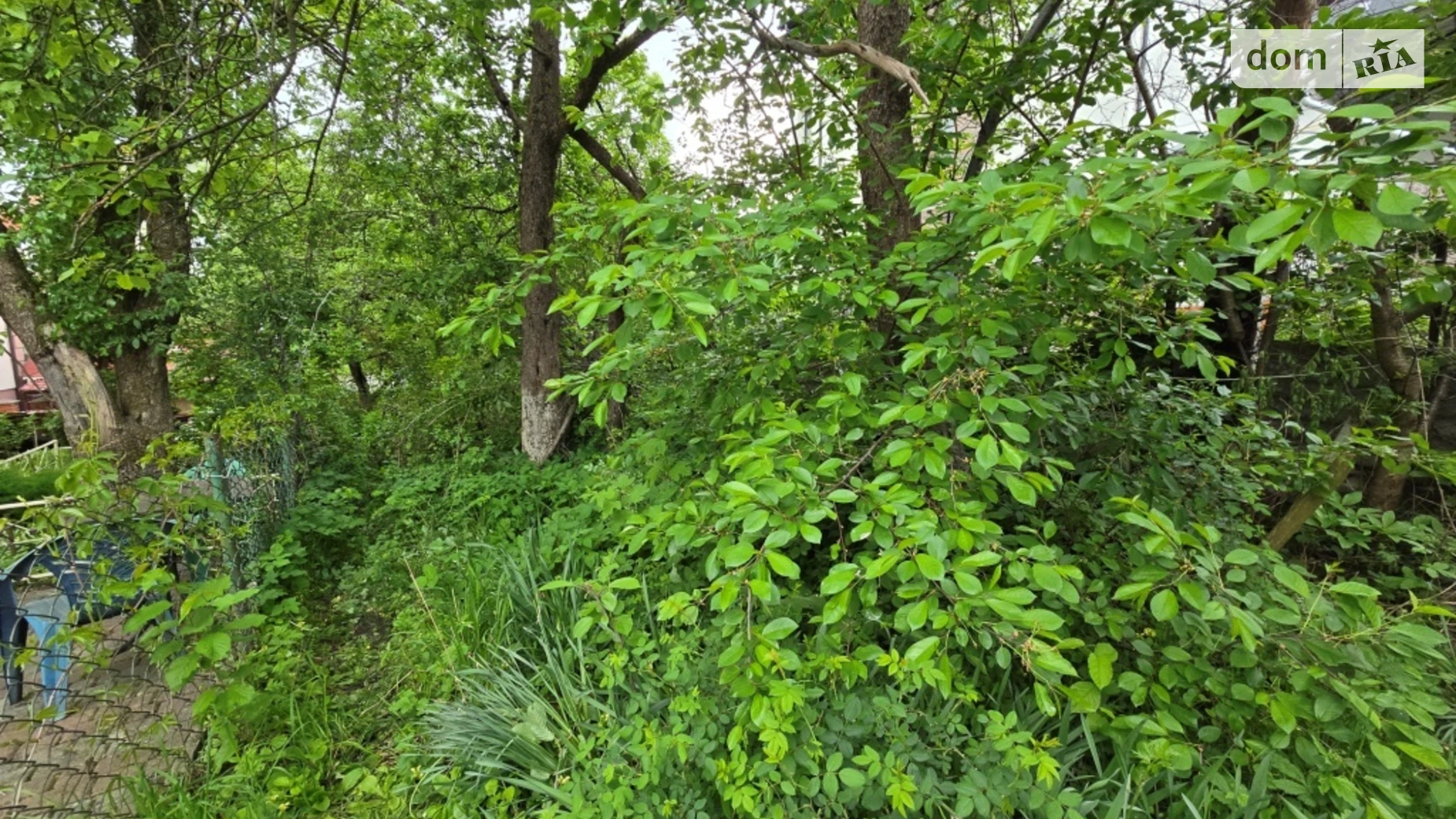 Продается земельный участок 4.52 соток в Львовской области, цена: 67000 $ - фото 3