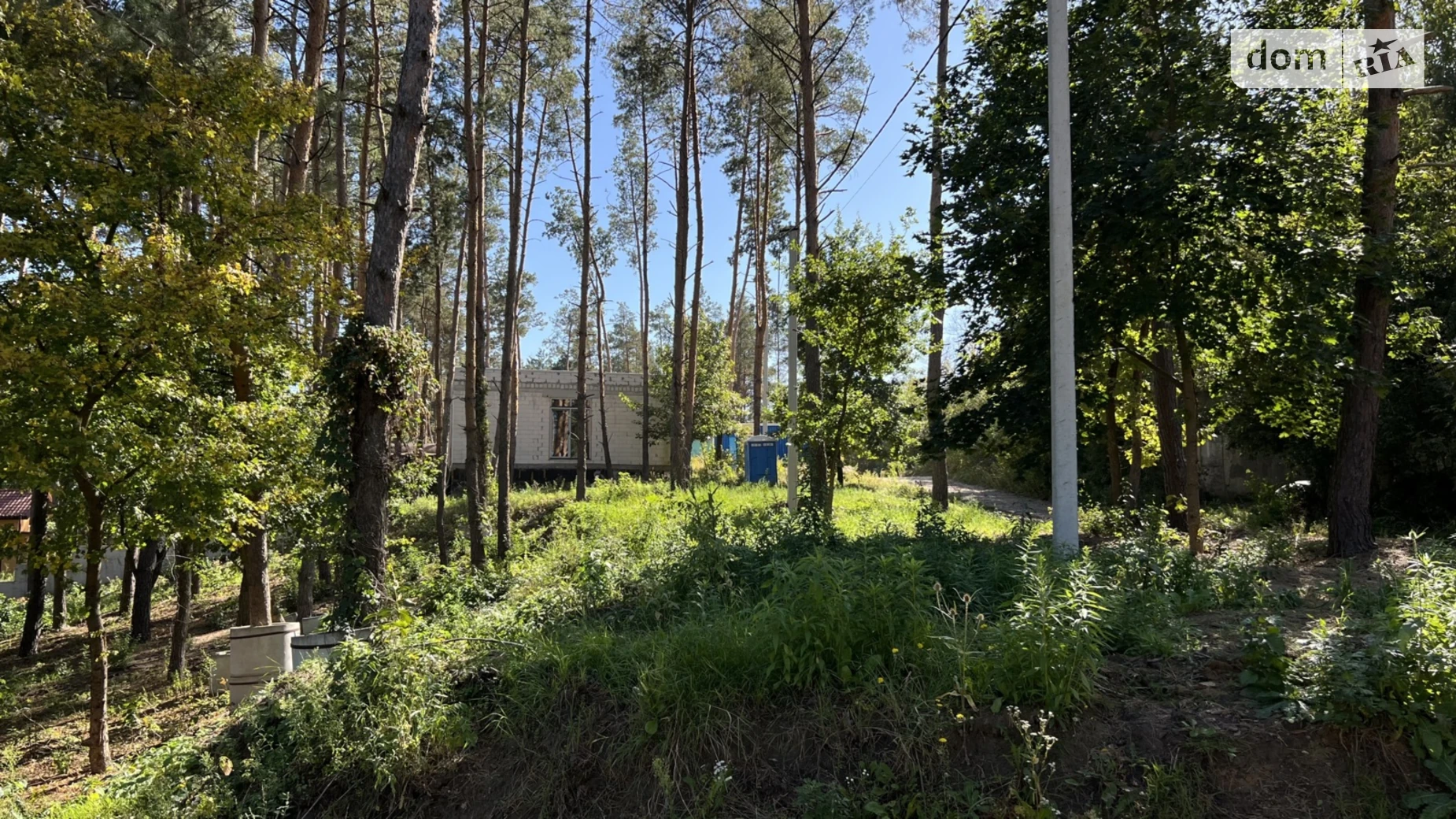 ул. Центральная Ходосовка (Обухов), цена: 30000 $ - фото 3