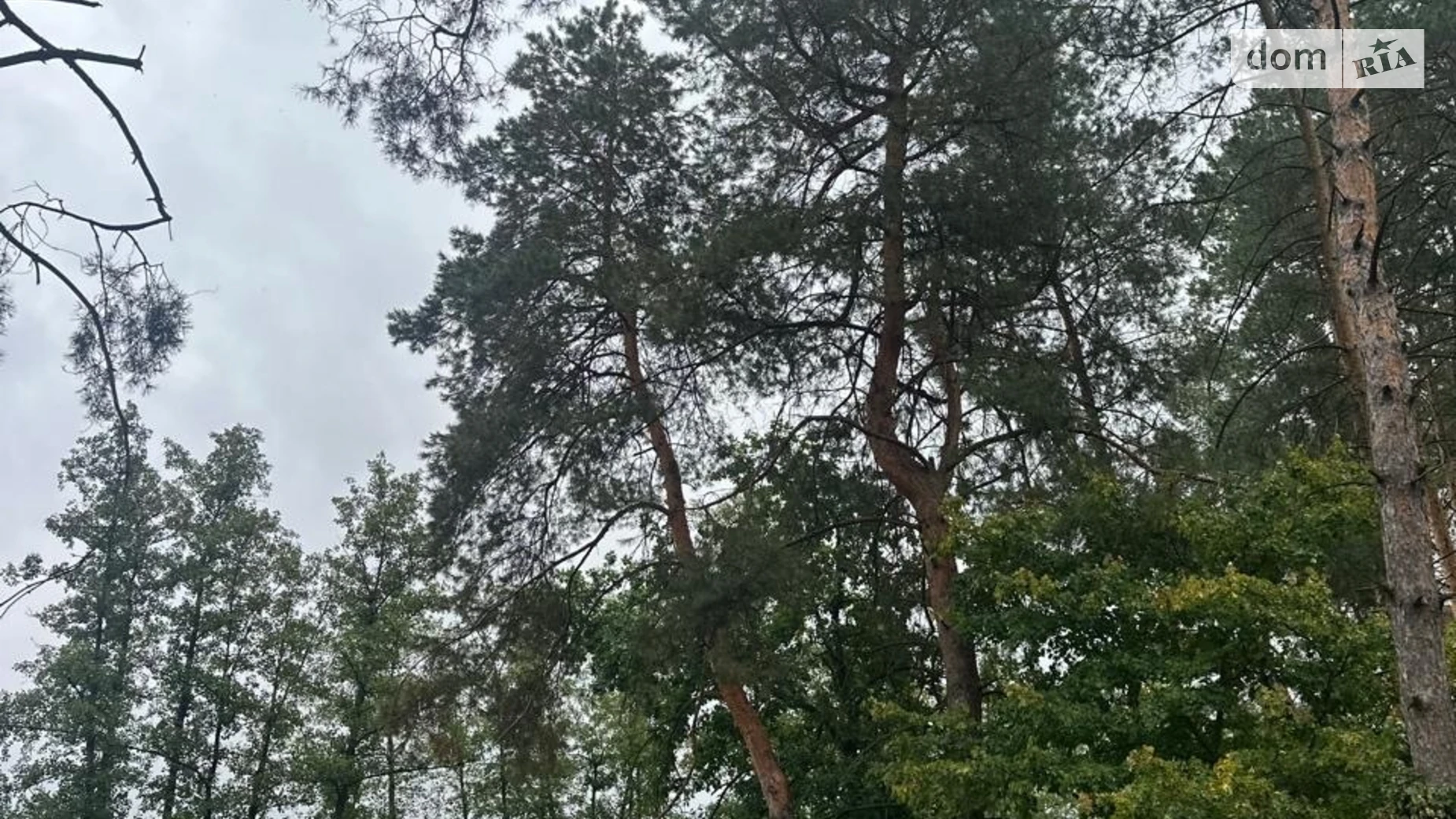 ул. Центральная Ходосовка (Обухов), цена: 78000 $ - фото 2