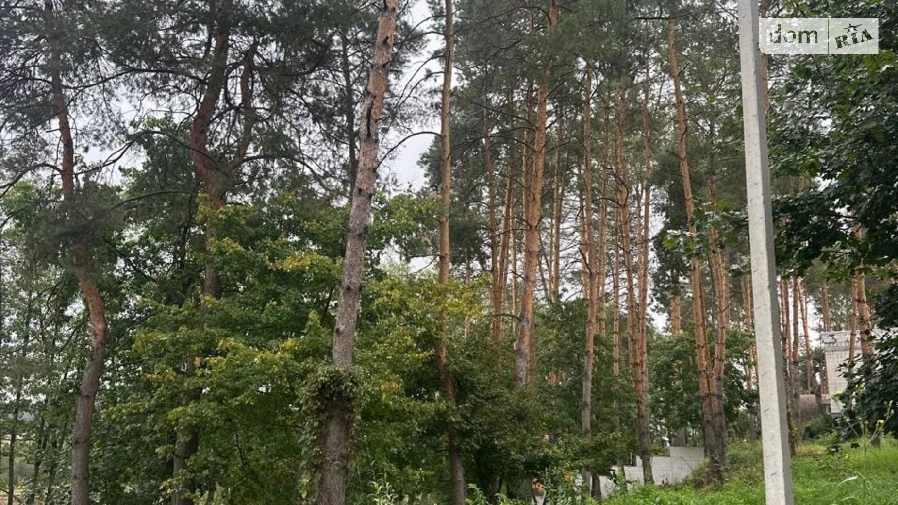 ул. Центральная Ходосовка (Обухов), цена: 78000 $ - фото 3