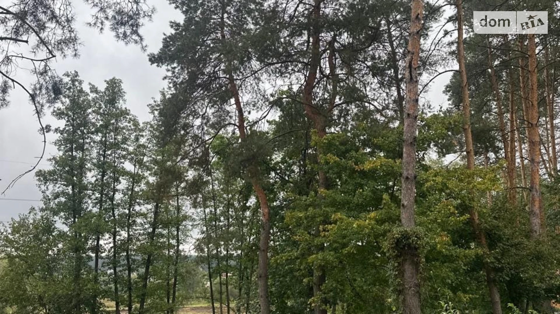 ул. Центральная Ходосовка (Обухов), цена: 78000 $ - фото 5