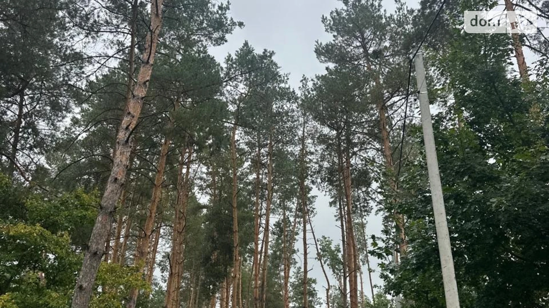 ул. Центральная Ходосовка (Обухов), цена: 78000 $ - фото 4