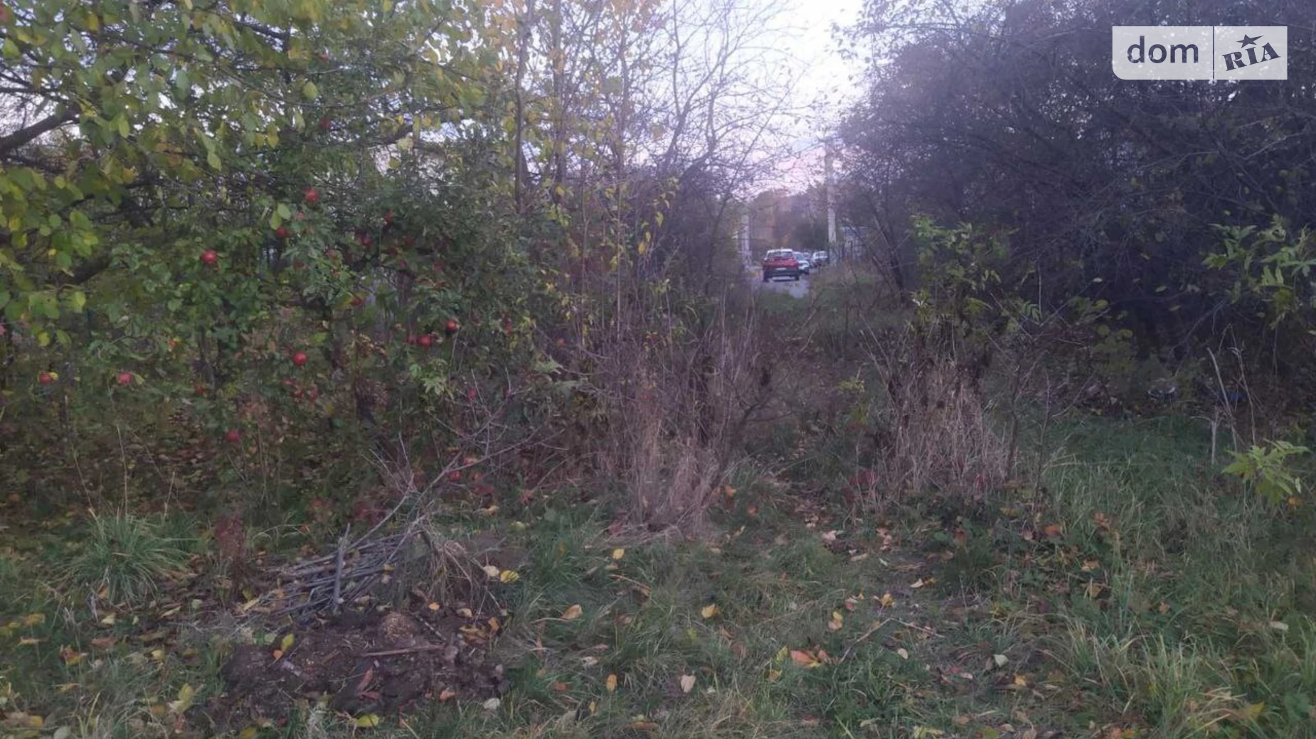 пров. Зелений Зарванці, цена: 70000 $ - фото 3