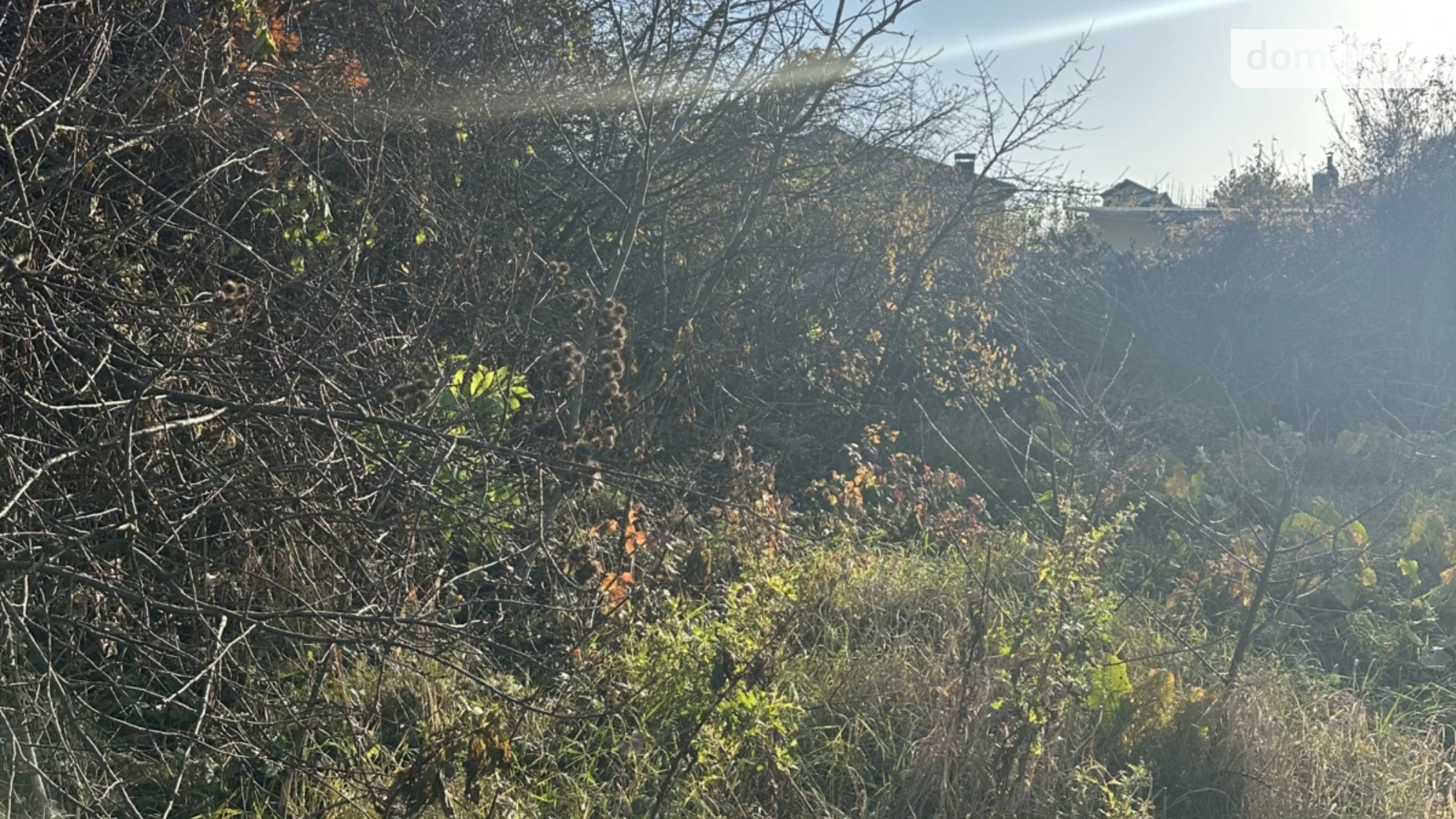 пров. Зелений Зарванці, цена: 70000 $ - фото 4