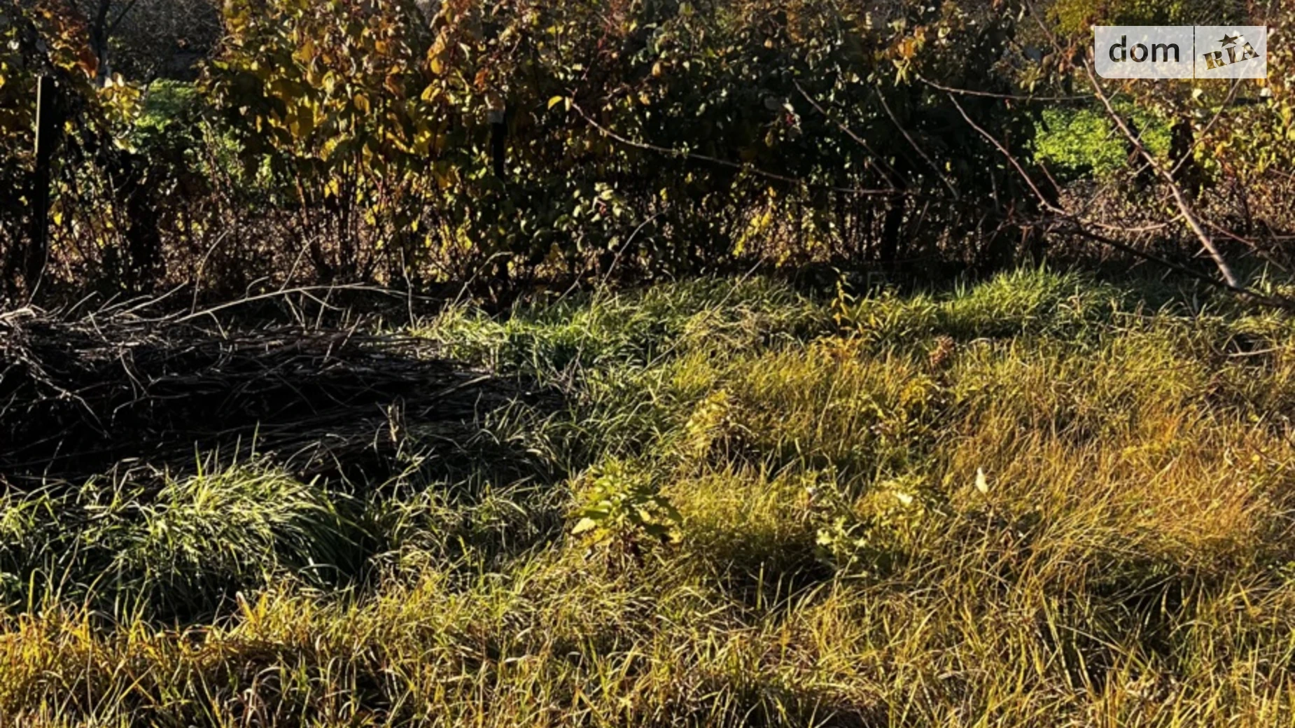 Продается земельный участок 13.43 соток в Винницкой области, цена: 70000 $ - фото 5