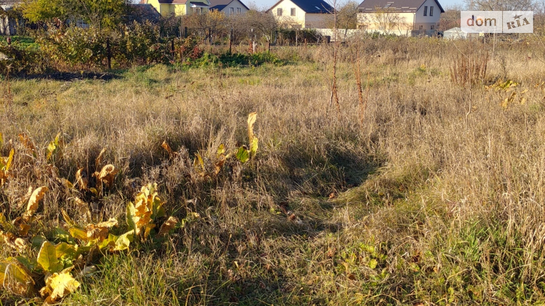 пров. Зелений Зарванці, цена: 70000 $ - фото 3