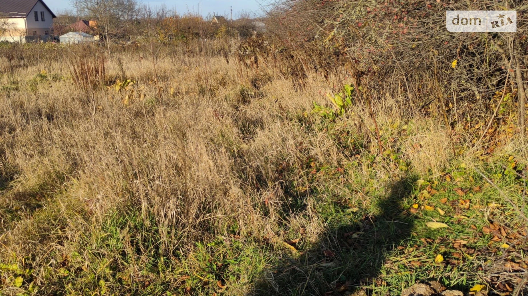 Зарванці, цена: 70000 $ - фото 4