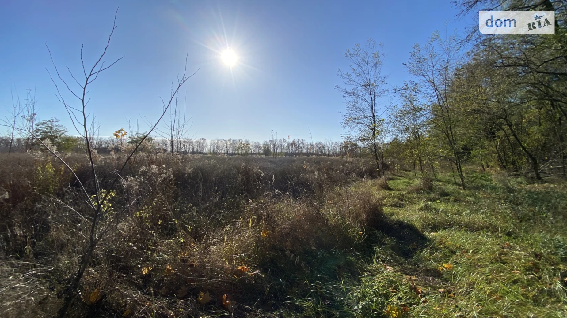 Гниванское шоссе Бохоники, цена: 19000 $ - фото 3