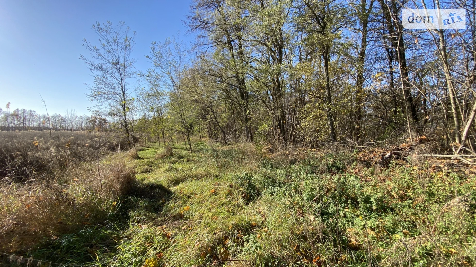 Гниванское шоссе Бохоники, цена: 19000 $ - фото 2