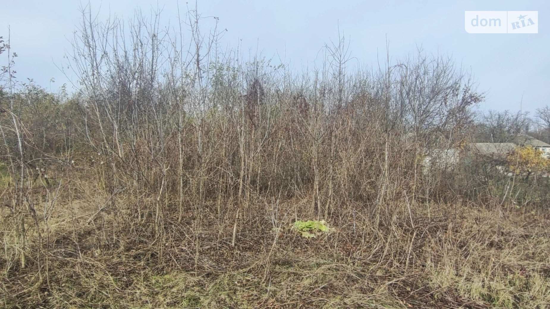 Продається земельна ділянка 0.4143 соток у Київській області, цена: 456 $ - фото 5