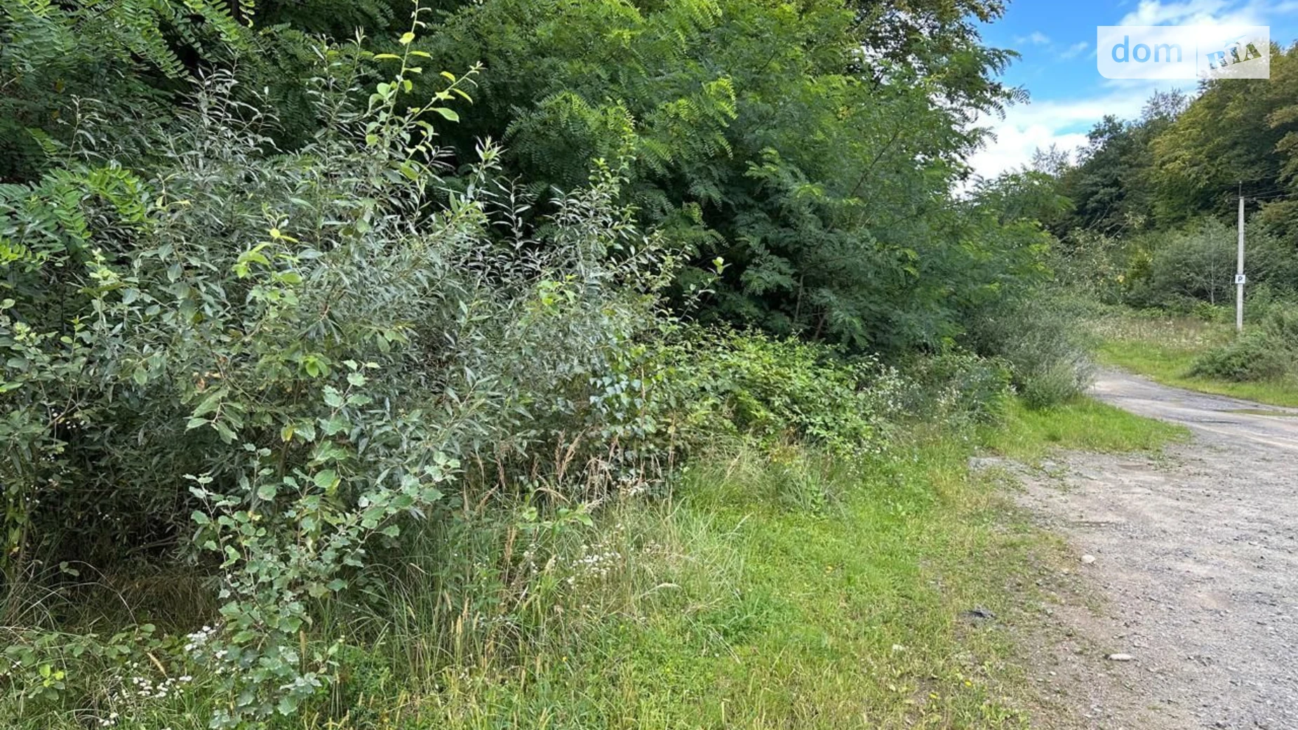 Поляна (Свалява), цена: 53 грн - фото 2