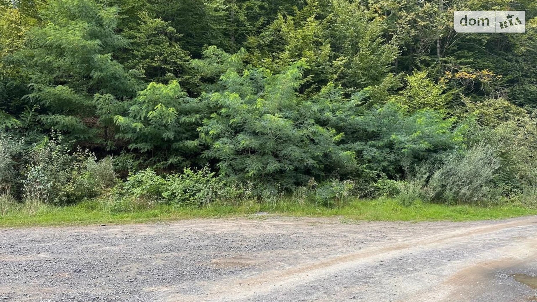 Поляна (Свалява), цена: 53 грн - фото 4