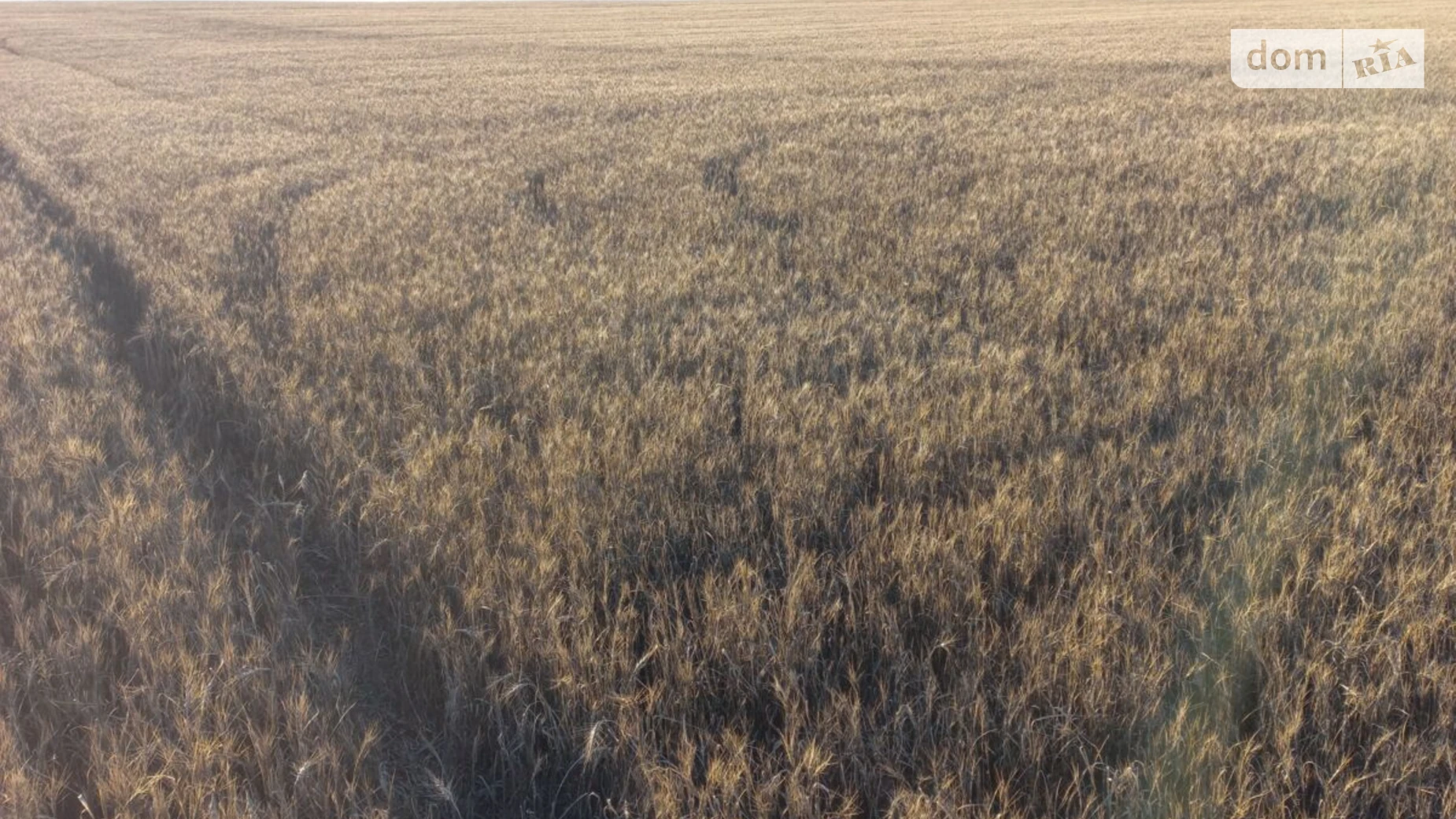 Музиковка, цена: 58962 грн - фото 2