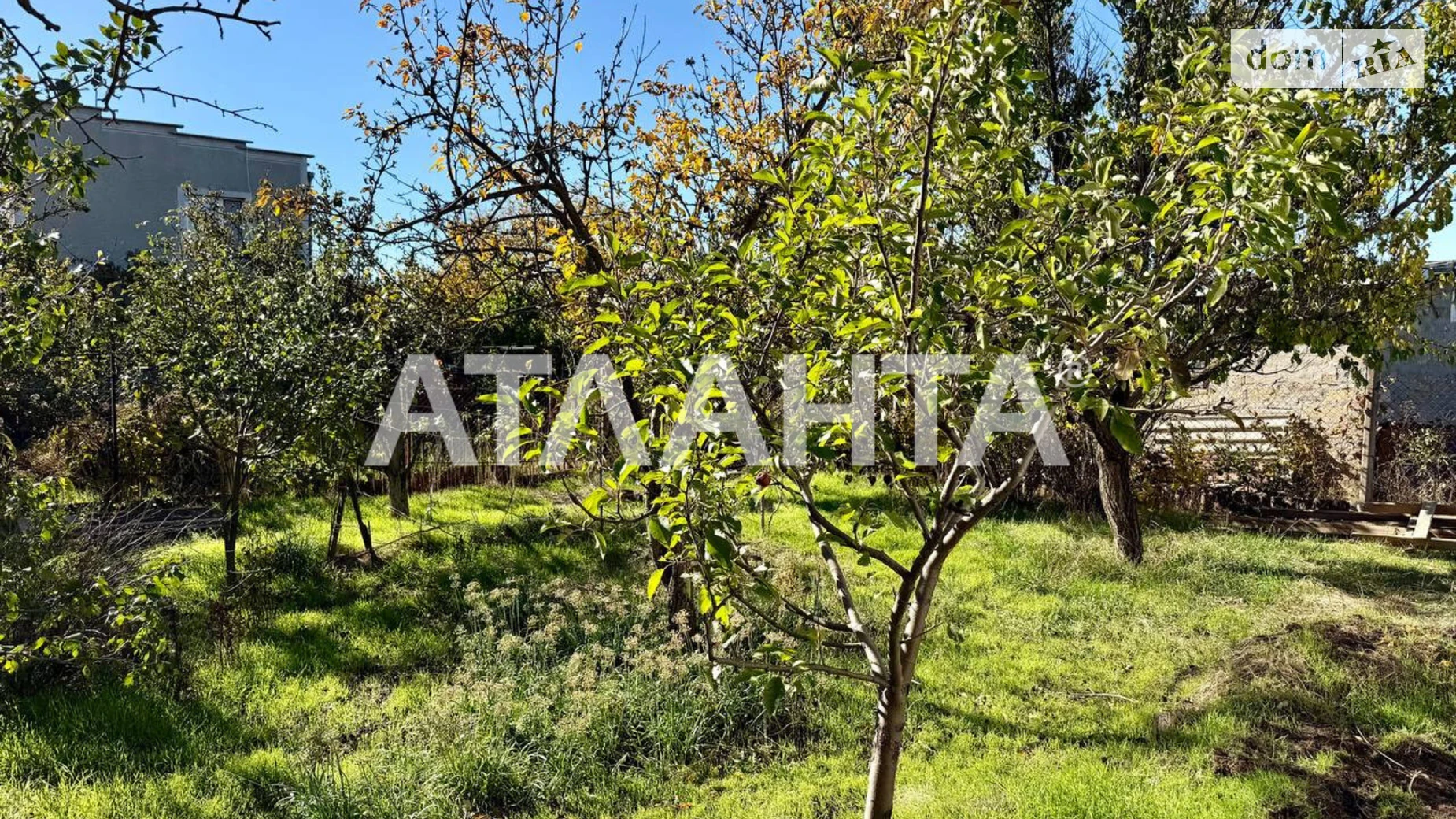 Продается одноэтажный дом 60 кв. м с подвалом, цена: 41500 $ - фото 4