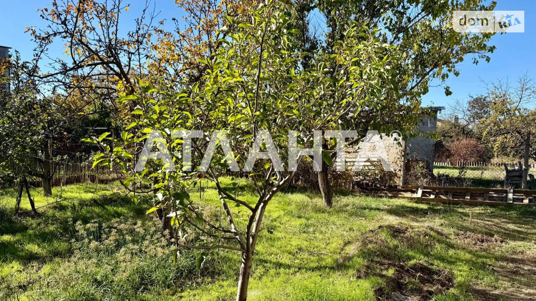 Продается одноэтажный дом 60 кв. м с подвалом, цена: 41500 $ - фото 5