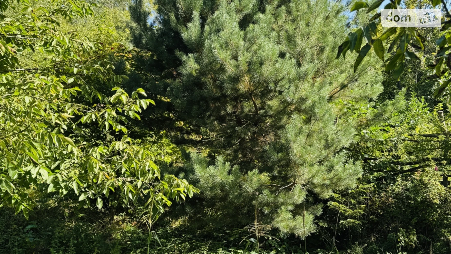 Продается земельный участок 5.9 соток в Львовской области, цена: 13800 $ - фото 3