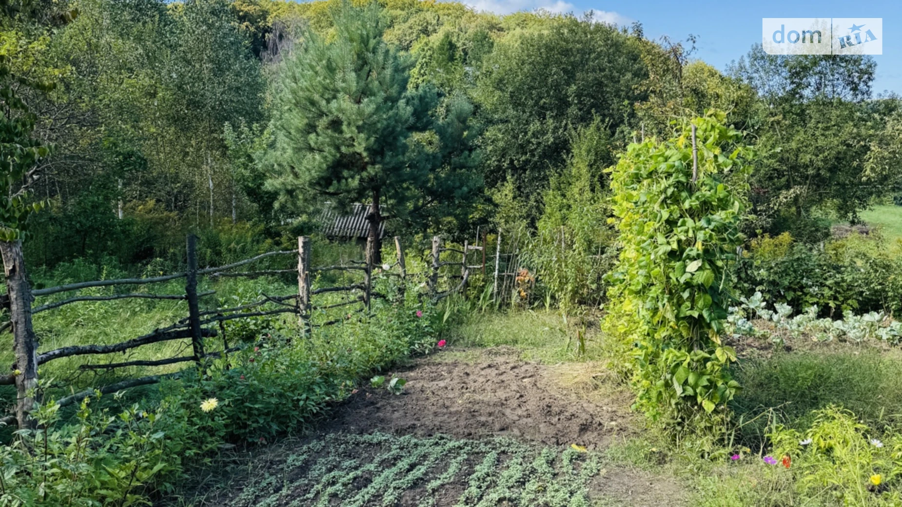 Продается земельный участок 5.9 соток в Львовской области, цена: 13800 $ - фото 2