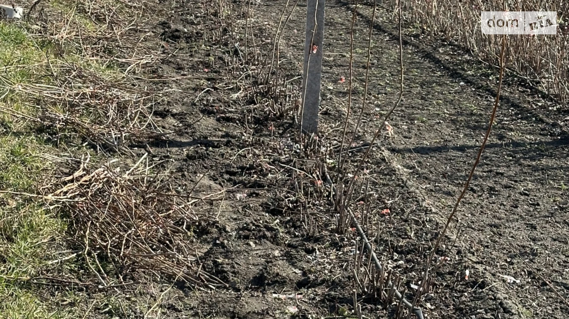 Продается земельный участок 25 соток в Винницкой области, цена: 2500 $ - фото 2