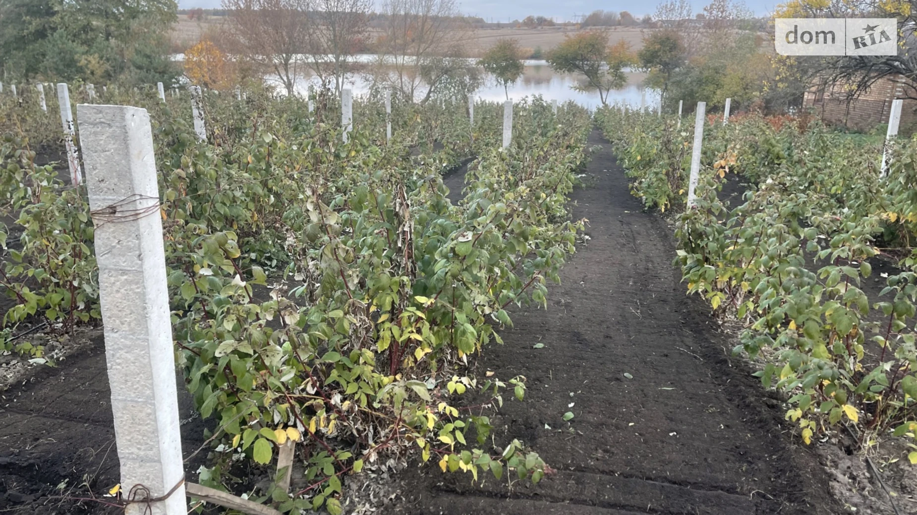 вул. Вороніна Цвіжин, цена: 910 $ - фото 5