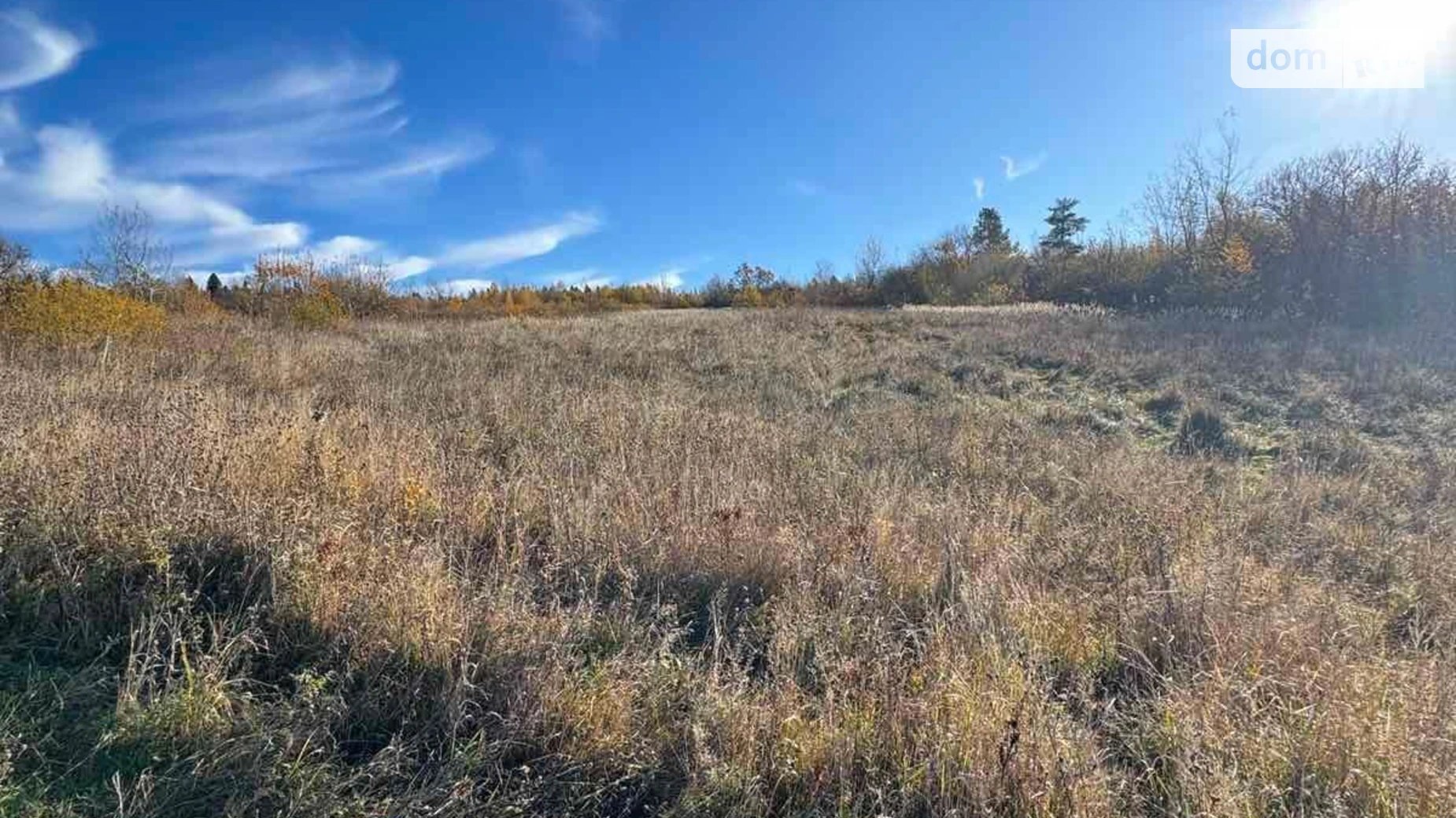 Сдается в аренду земельный участок 16.2 соток в Ивано-Франковской области, цена: 35556 грн - фото 2