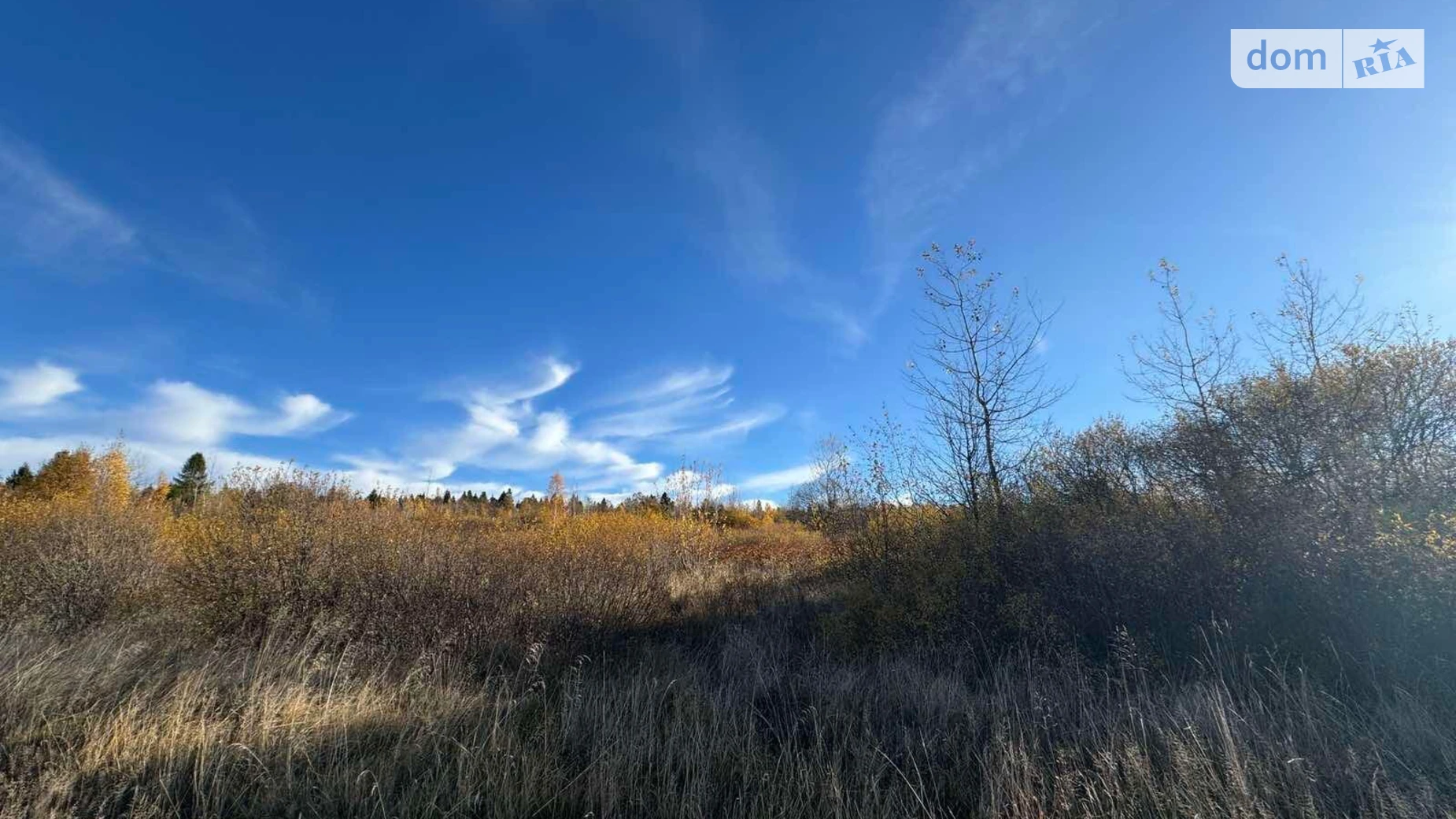 Сдается в аренду земельный участок 16.2 соток в Ивано-Франковской области, цена: 35556 грн - фото 3