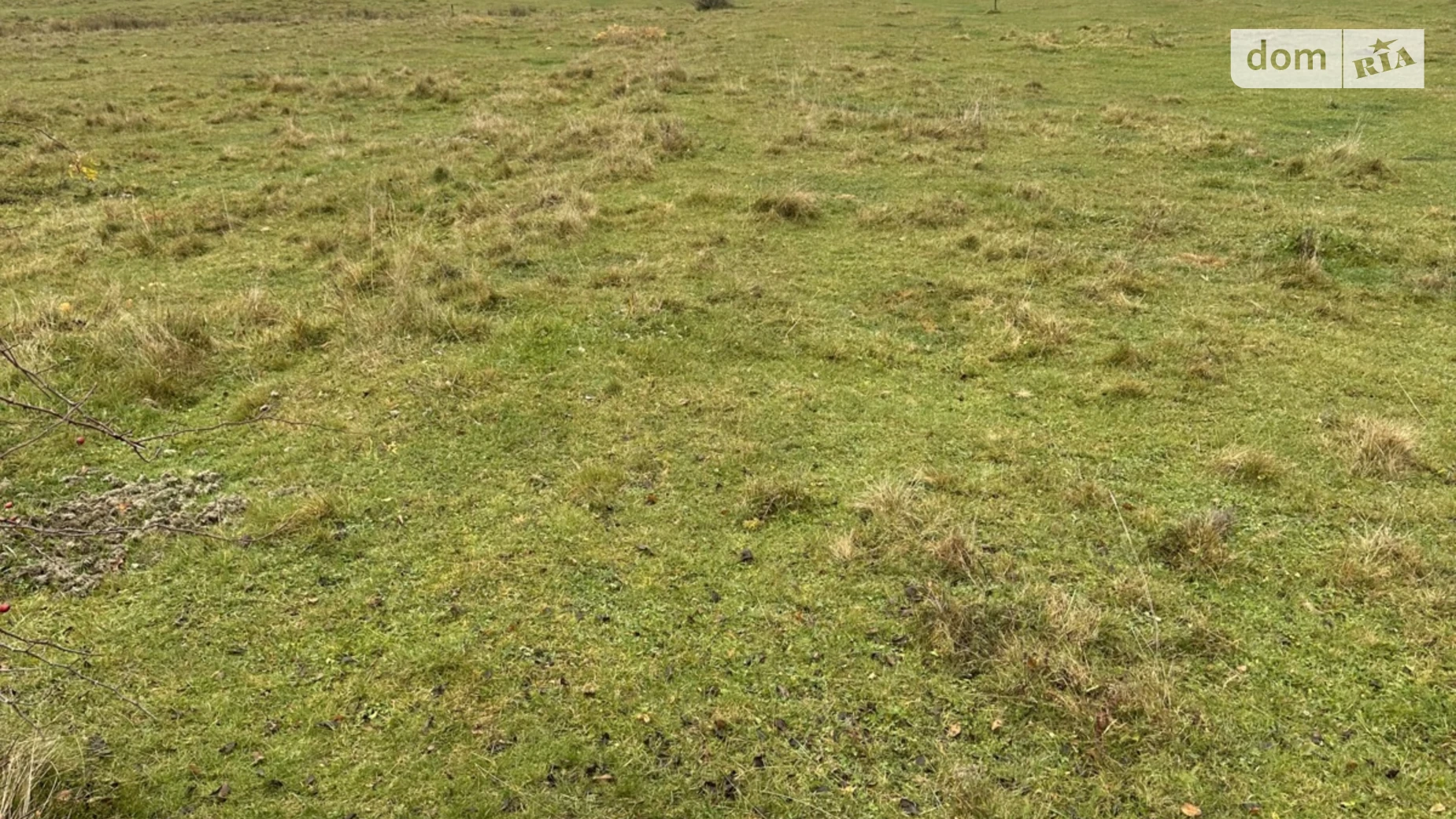 Продается земельный участок 8 соток в Закарпатской области, цена: 4000 $ - фото 3