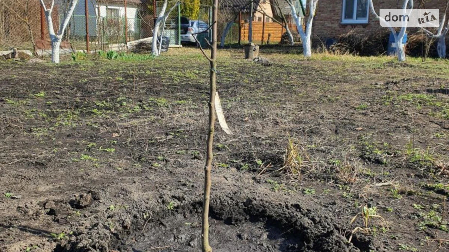 Продается одноэтажный дом 29.1 кв. м с участком, цена: 39000 $ - фото 3