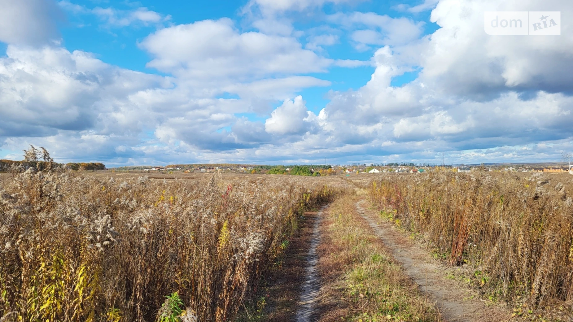 Агрономічне, цена: 15000 $ - фото 3