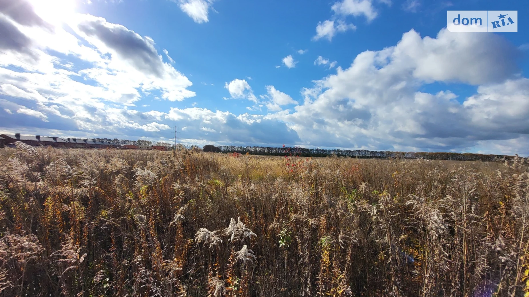 Агрономічне, цена: 15000 $ - фото 4