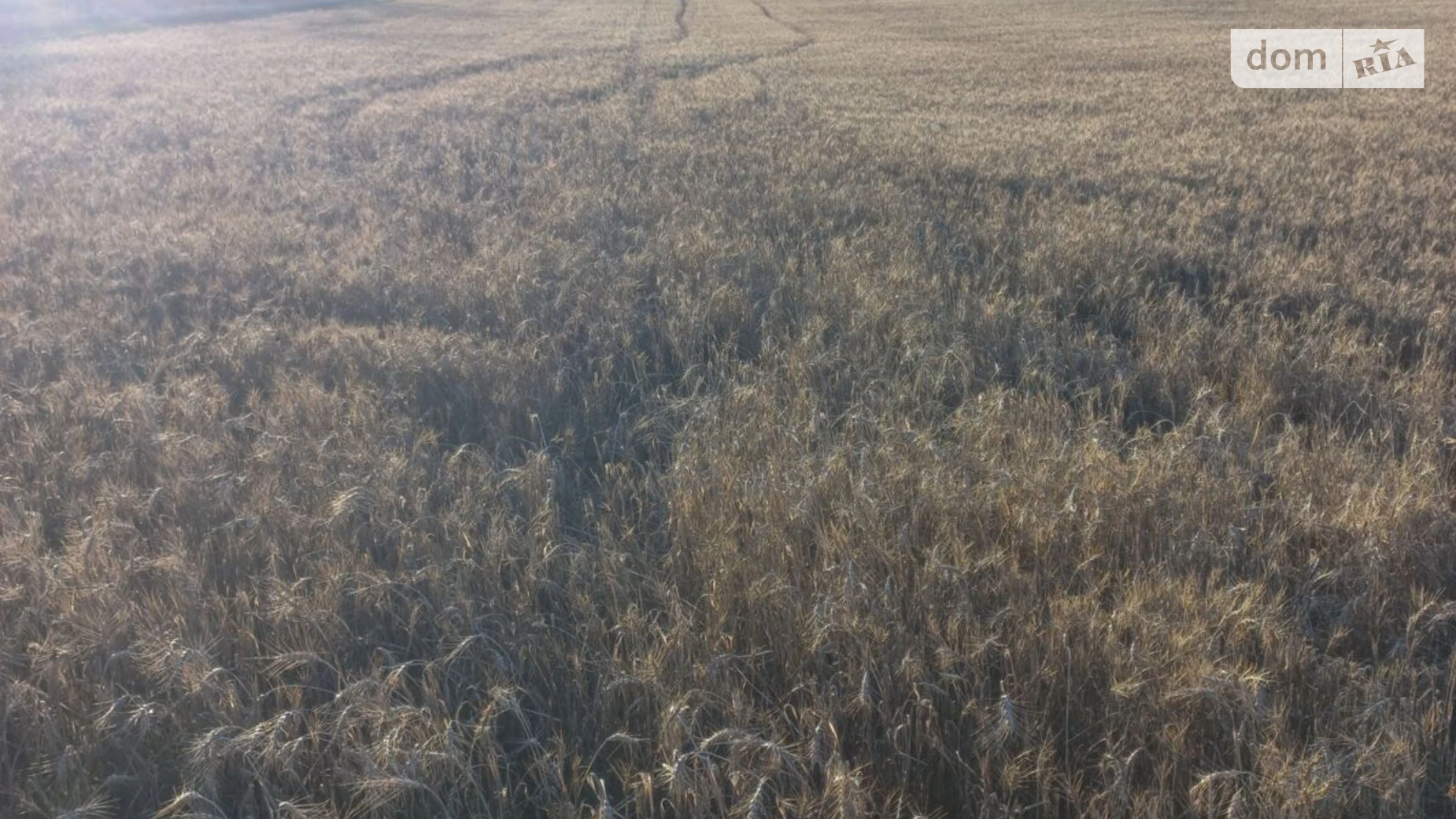 Сдается в аренду земельный участок 8.0749 соток в  области, цена: 6022 грн - фото 3