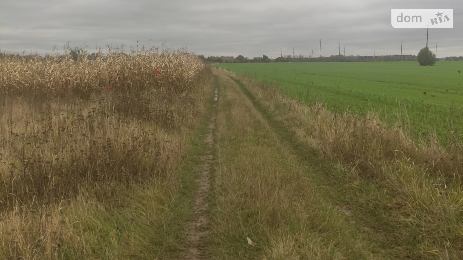 вул. Побузька Гнівань, цена: 5000 $ - фото 4