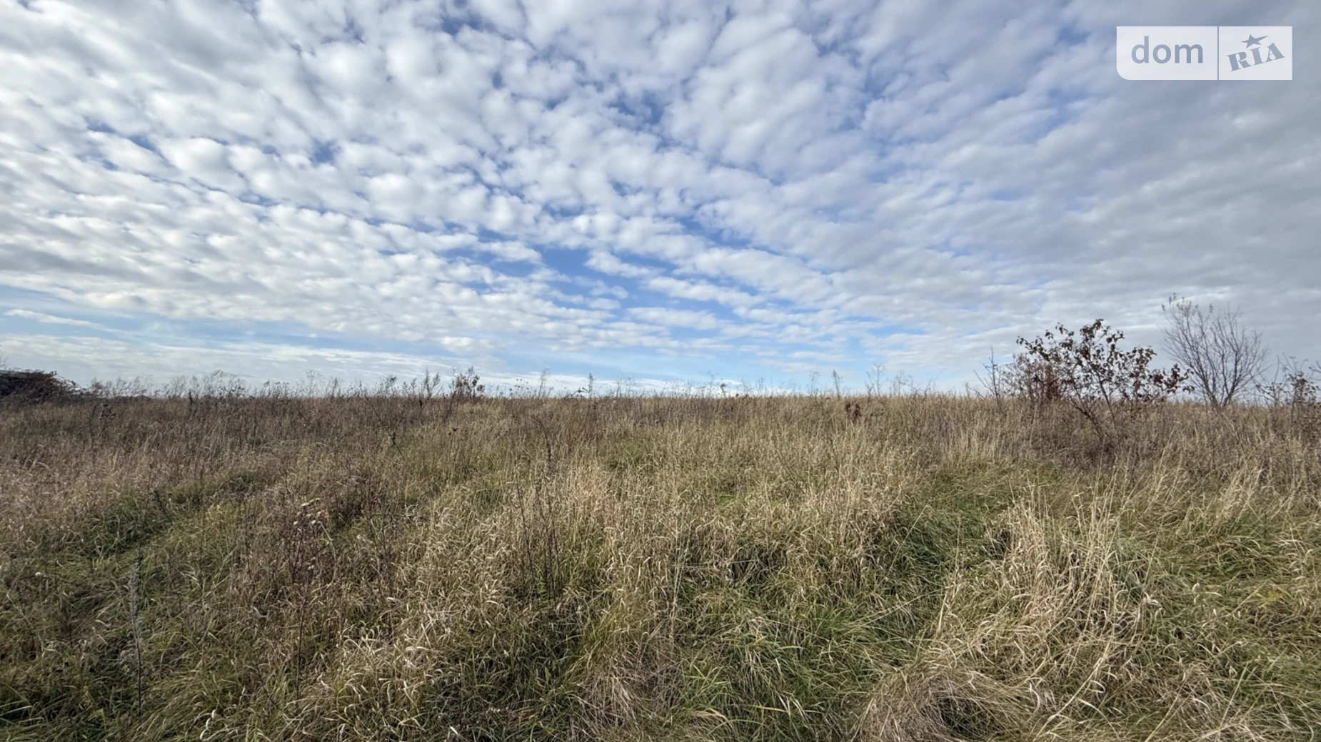Продается земельный участок 20 соток в Хмельницкой области, цена: 88000 $ - фото 4