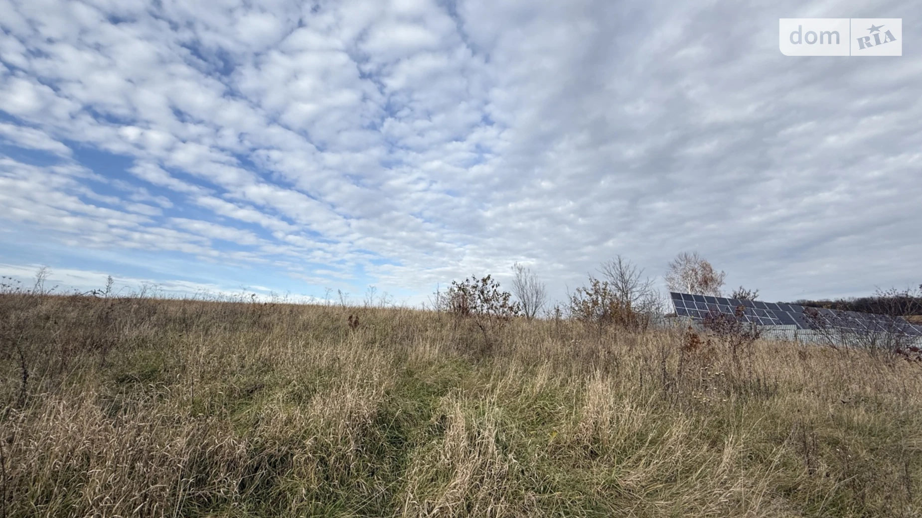 Продается земельный участок 20 соток в Хмельницкой области, цена: 88000 $ - фото 5