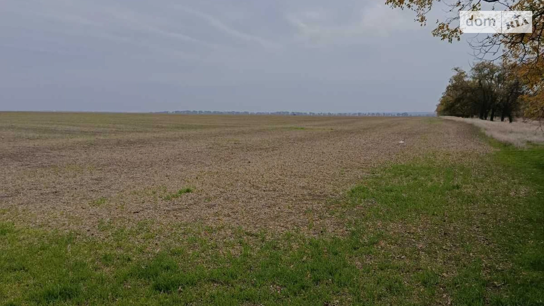 Сдается в аренду земельный участок 20 соток в Одесской области, цена: 55886 грн - фото 2