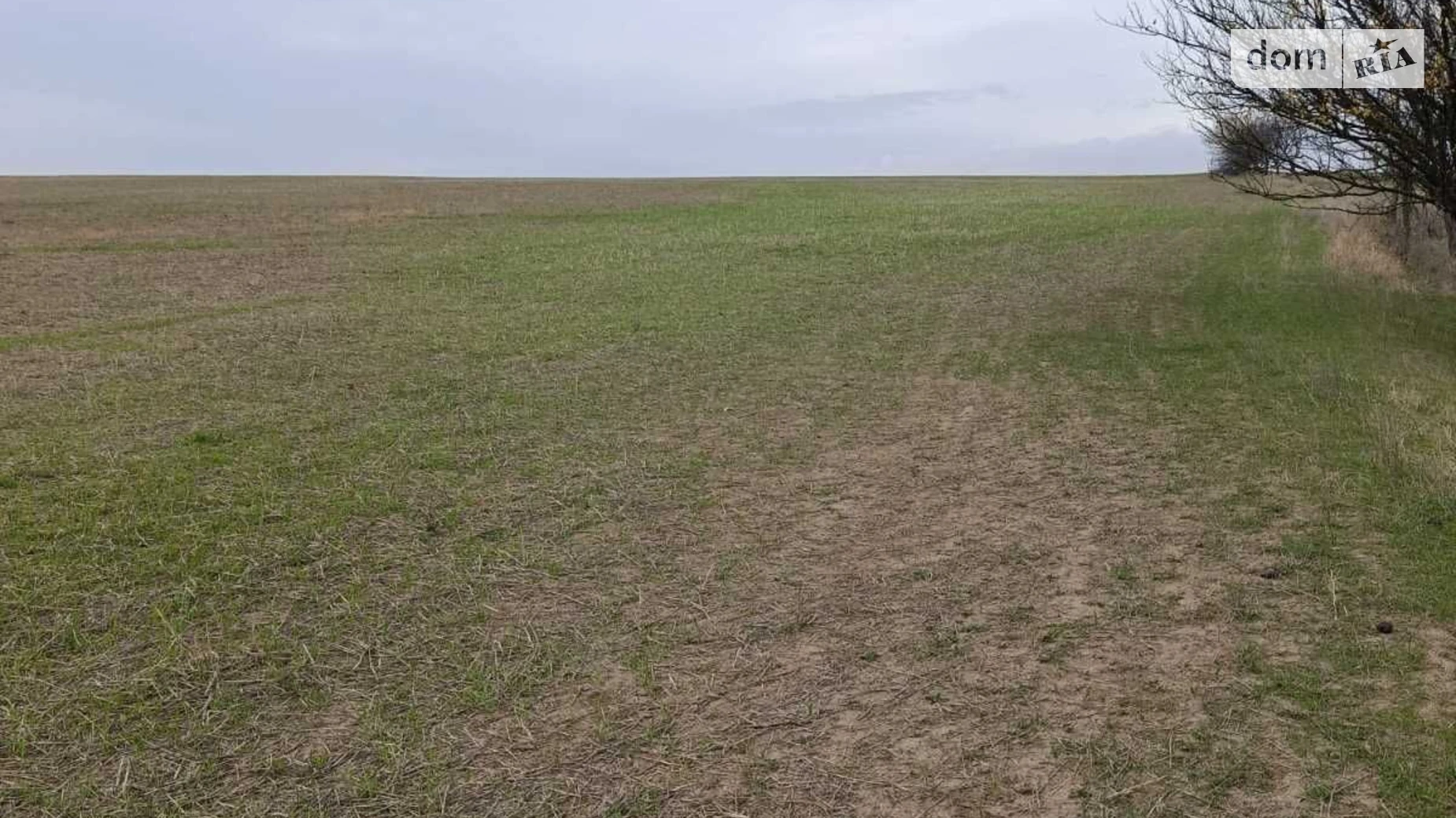 Сдается в аренду земельный участок 20 соток в Одесской области, цена: 68876 грн - фото 2