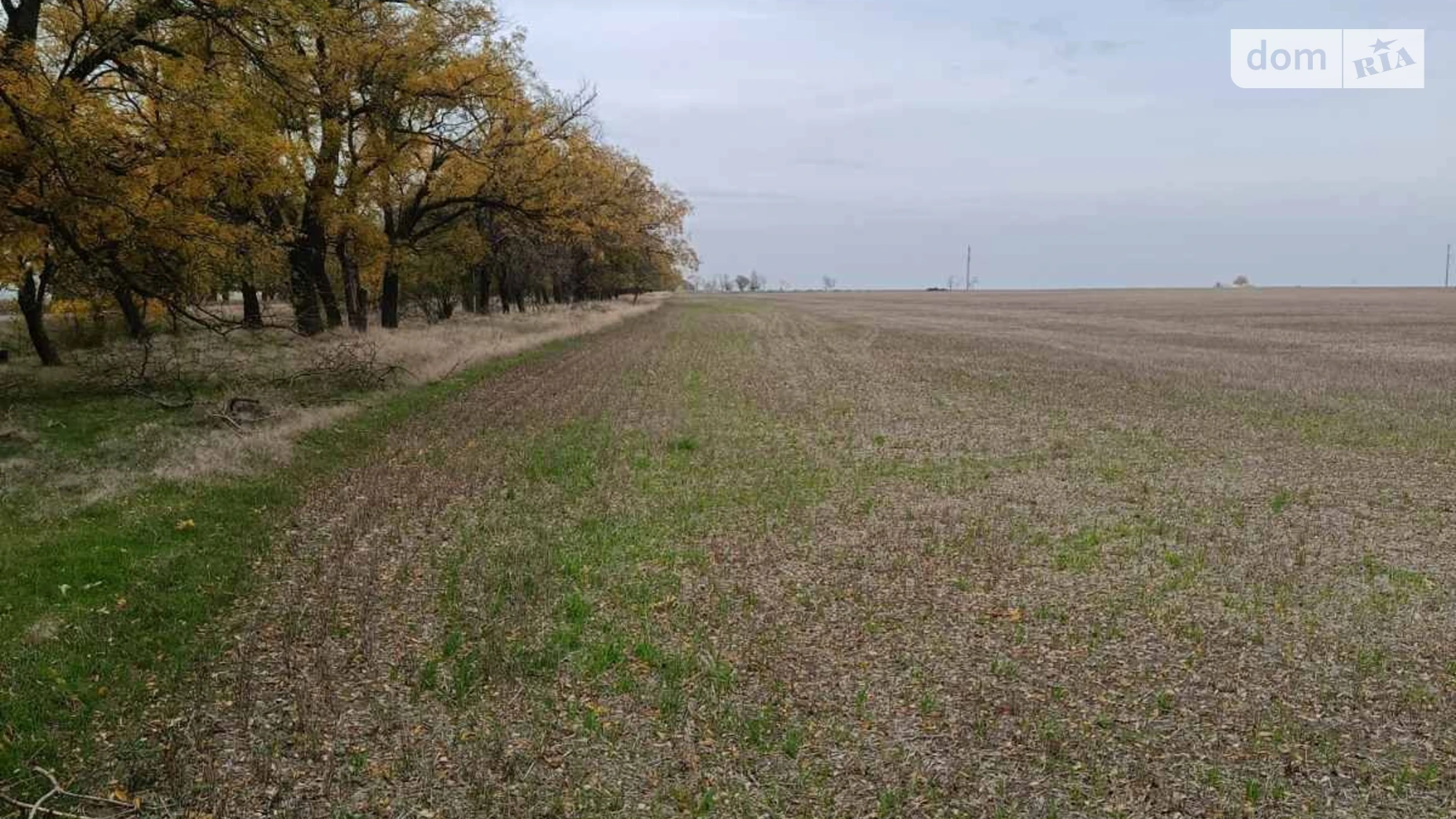 Сдается в аренду земельный участок 20 соток в Одесской области, цена: 55886 грн - фото 3