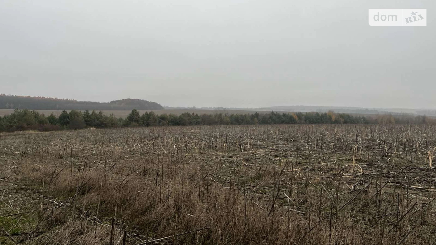 Сдается в аренду земельный участок 4.819 соток в Тернопольской области, цена: 77104 грн - фото 2