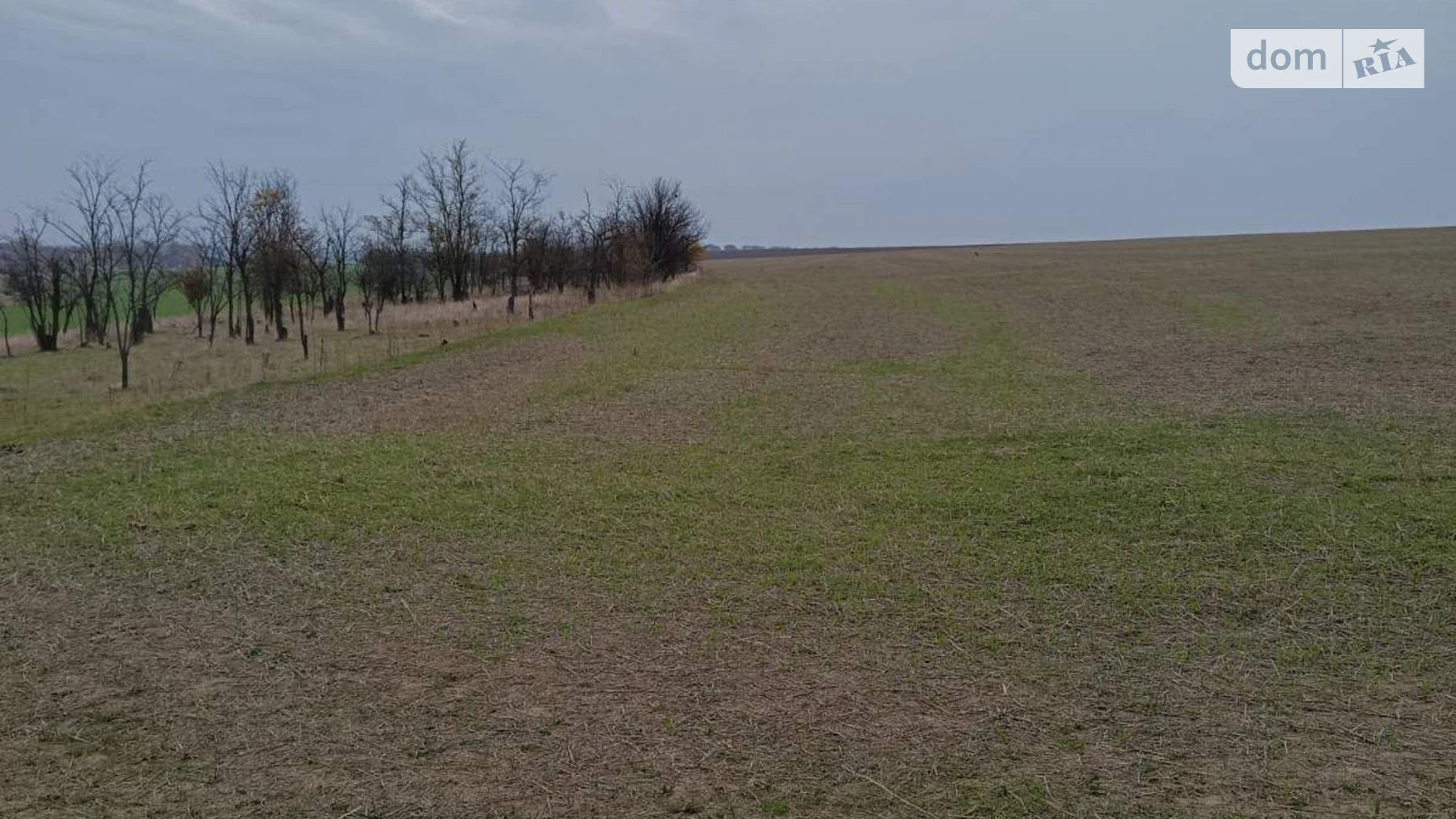 Сдается в аренду земельный участок 20 соток в Одесской области, цена: 68876 грн - фото 3