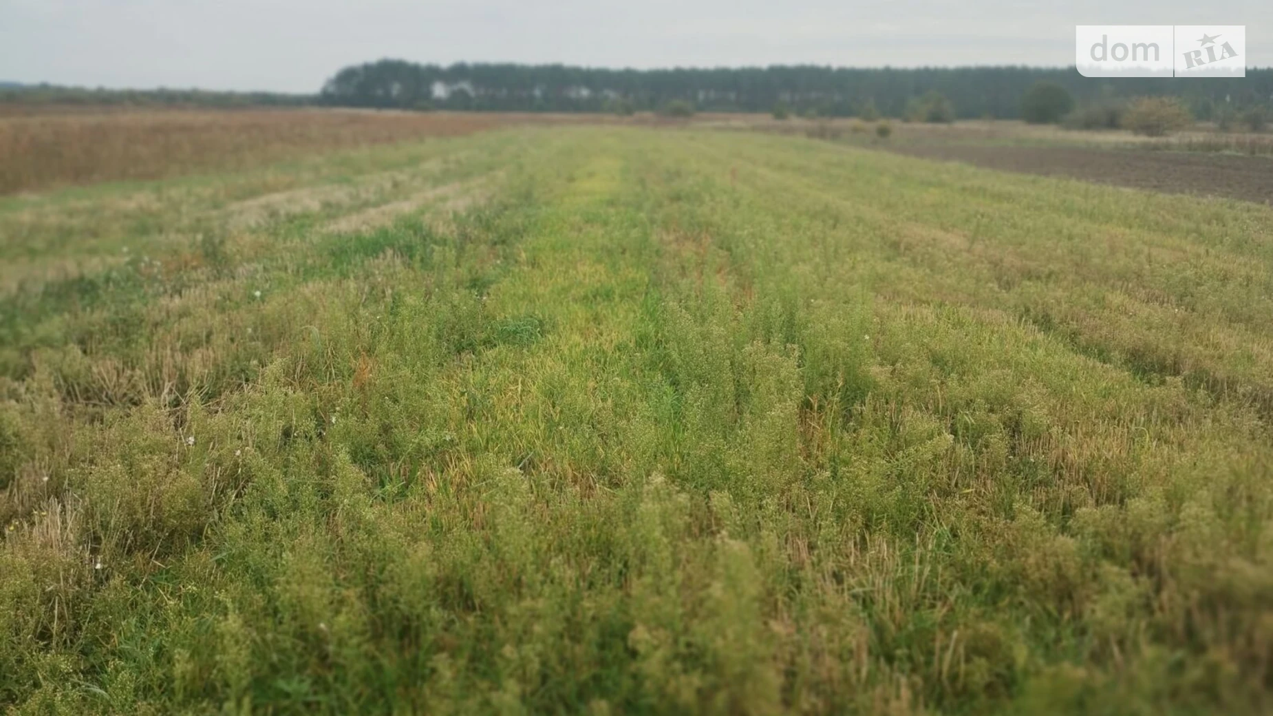 Здається в оренду земельна ділянка 14.9423 соток у області, цена: 14804 грн - фото 3
