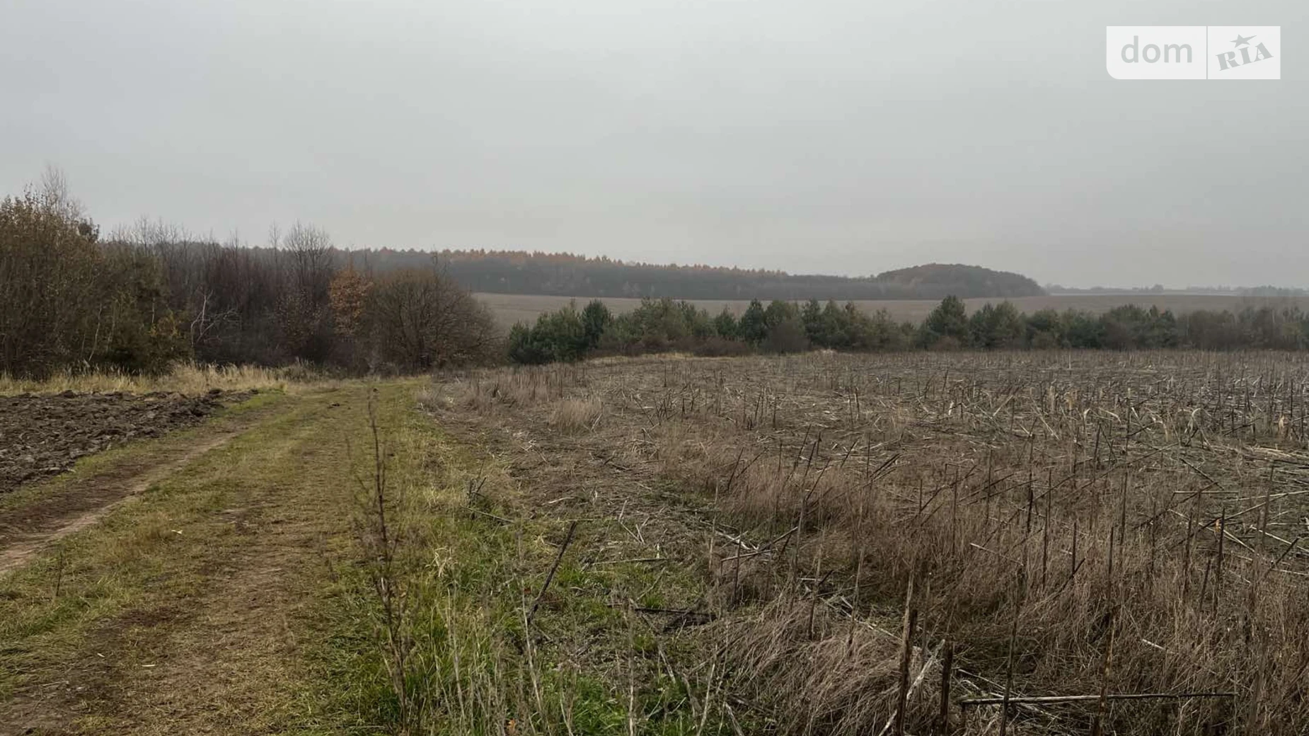 Сдается в аренду земельный участок 4.819 соток в Тернопольской области, цена: 77104 грн - фото 3
