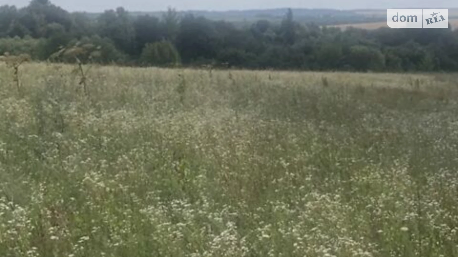 Продается земельный участок 9.5 соток в Хмельницкой области, цена: 4000 $ - фото 3