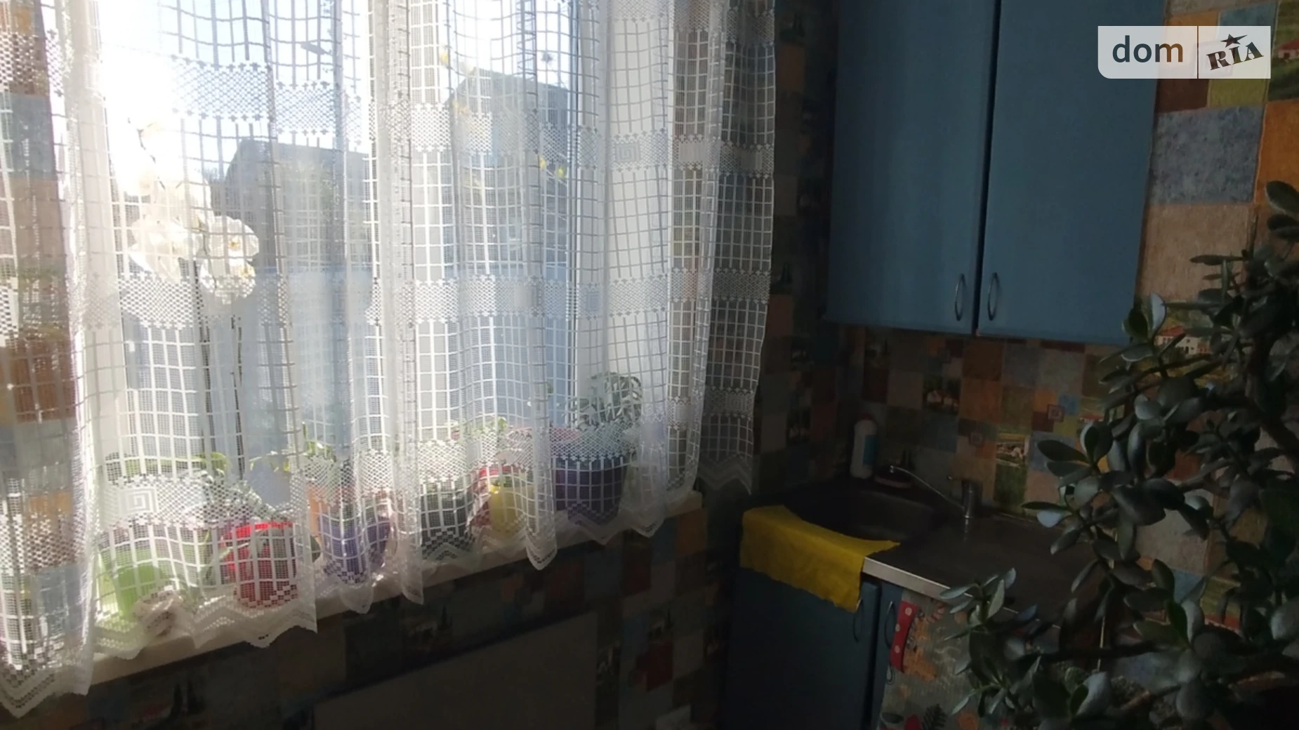 Продается часть дома 26.1 кв. м с подвалом, цена: 20000 $ - фото 5